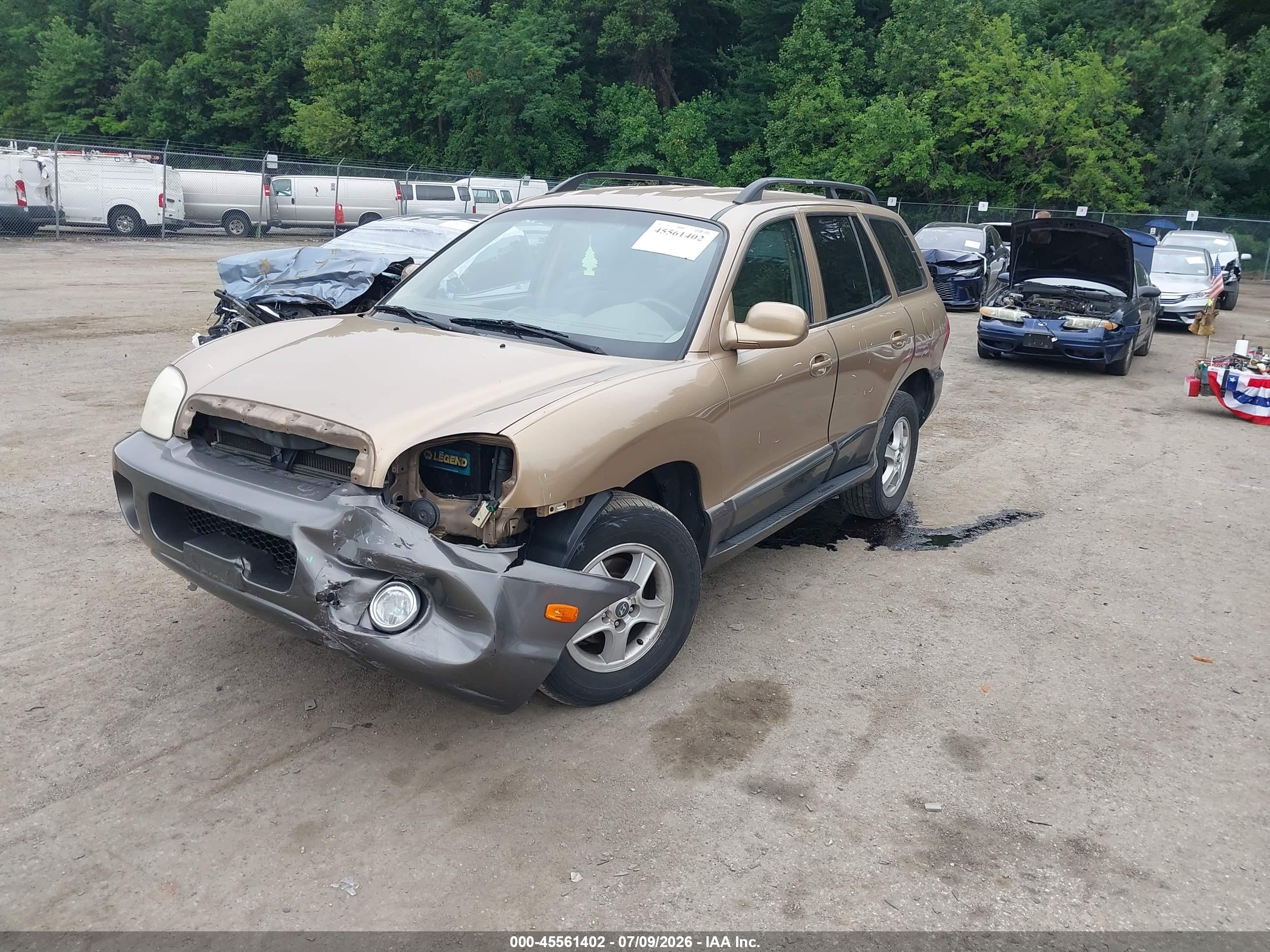 2004 Hyundai Santa Fe Gls Желто-коричневый vin: KM8SC73D04U742464