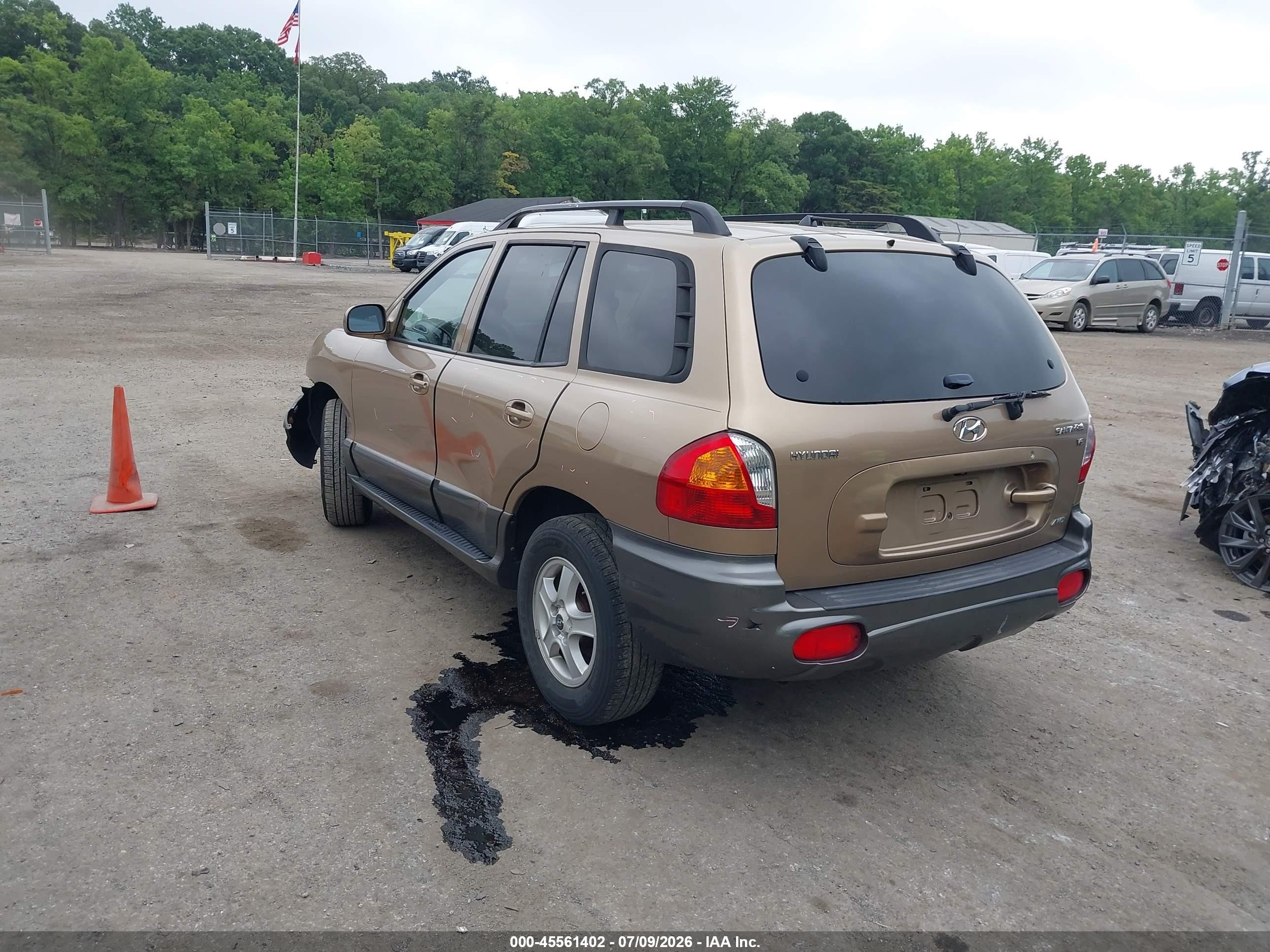 2004 Hyundai Santa Fe Gls Желто-коричневый vin: KM8SC73D04U742464