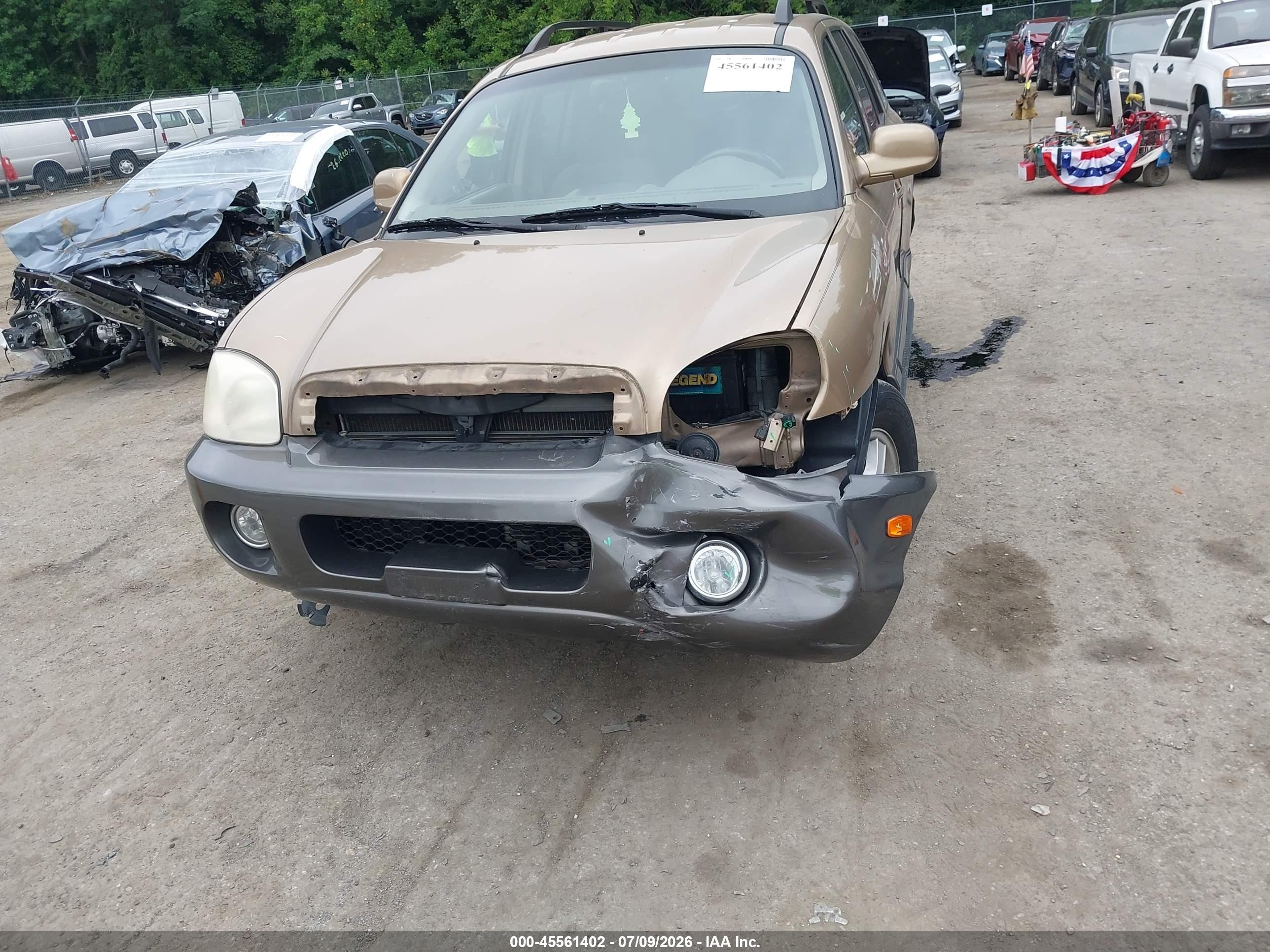 2004 Hyundai Santa Fe Gls Желто-коричневый vin: KM8SC73D04U742464