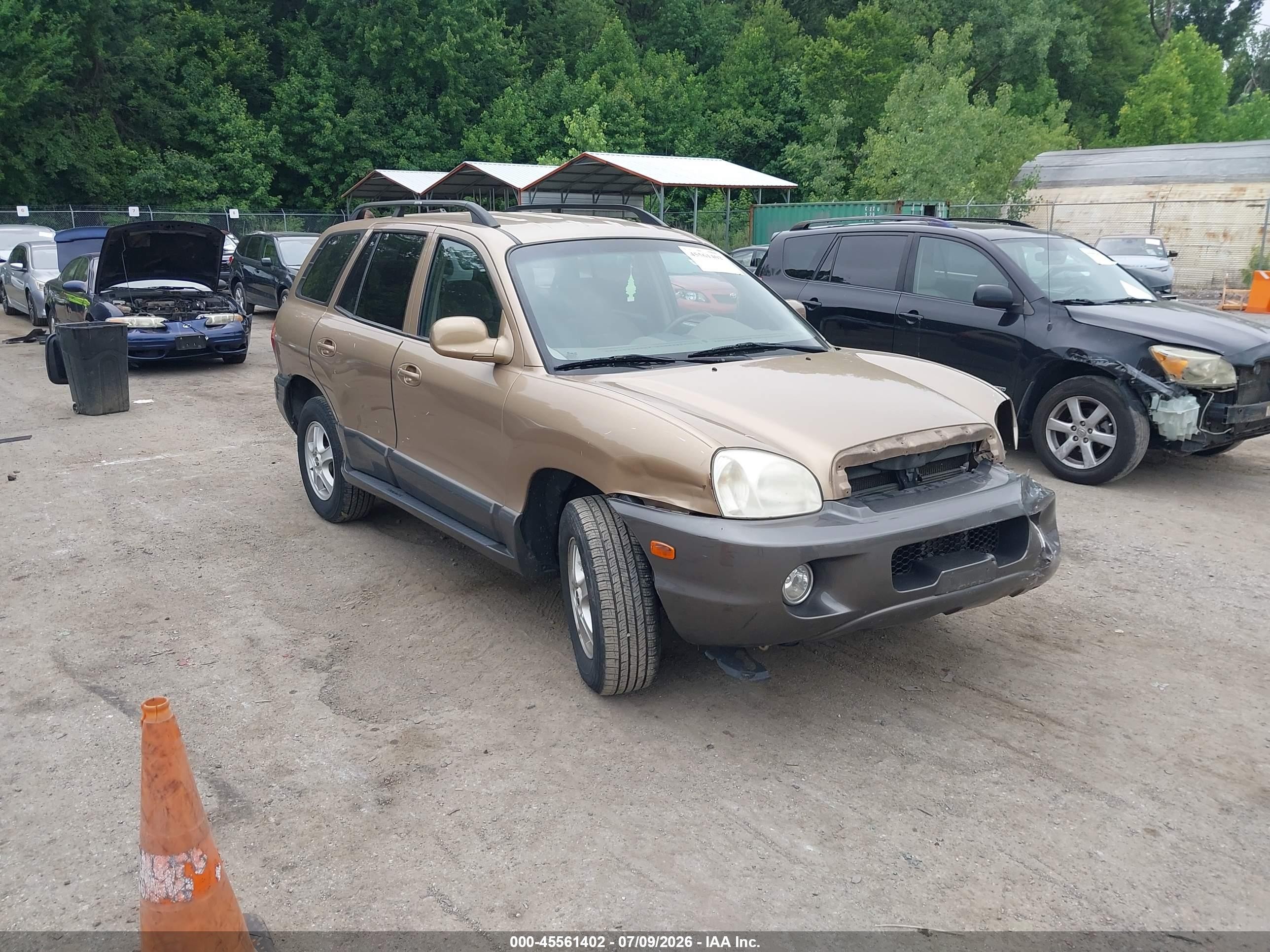 2004 Hyundai Santa Fe Gls Желто-коричневый vin: KM8SC73D04U742464
