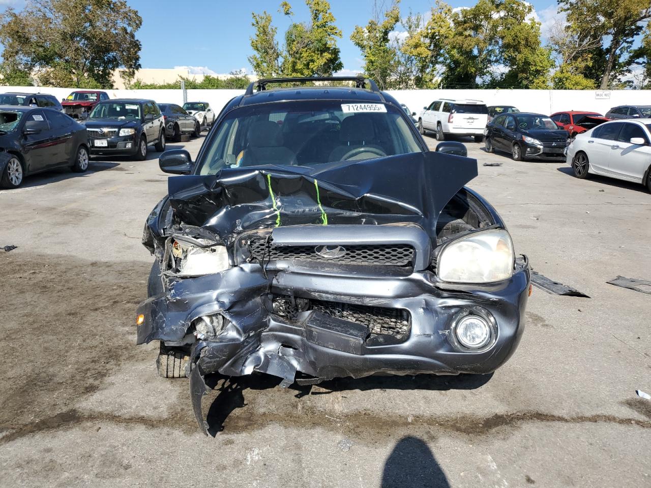 2004 Hyundai Santa Fe Gls Black vin: KM8SC73D14U597368