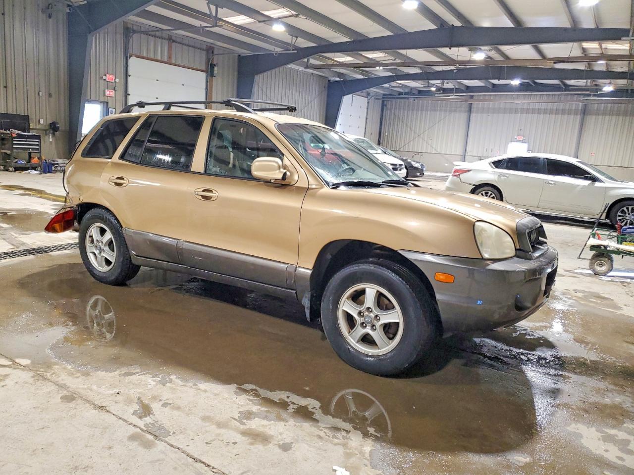 2002 Hyundai Santa Fe Gls Tan vin: KM8SC73D22U290711