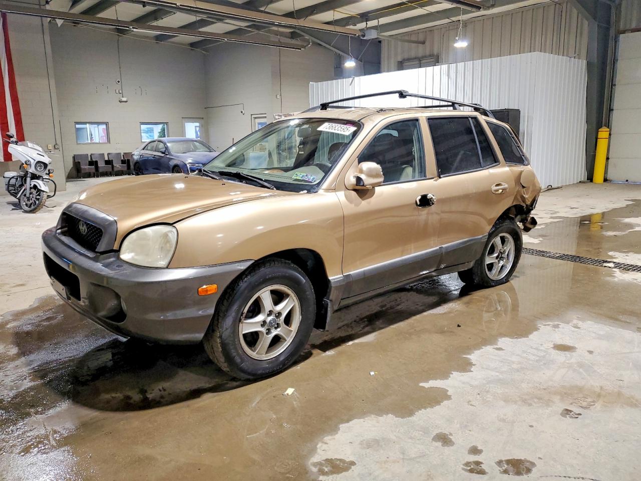 2002 Hyundai Santa Fe Gls Tan vin: KM8SC73D22U290711