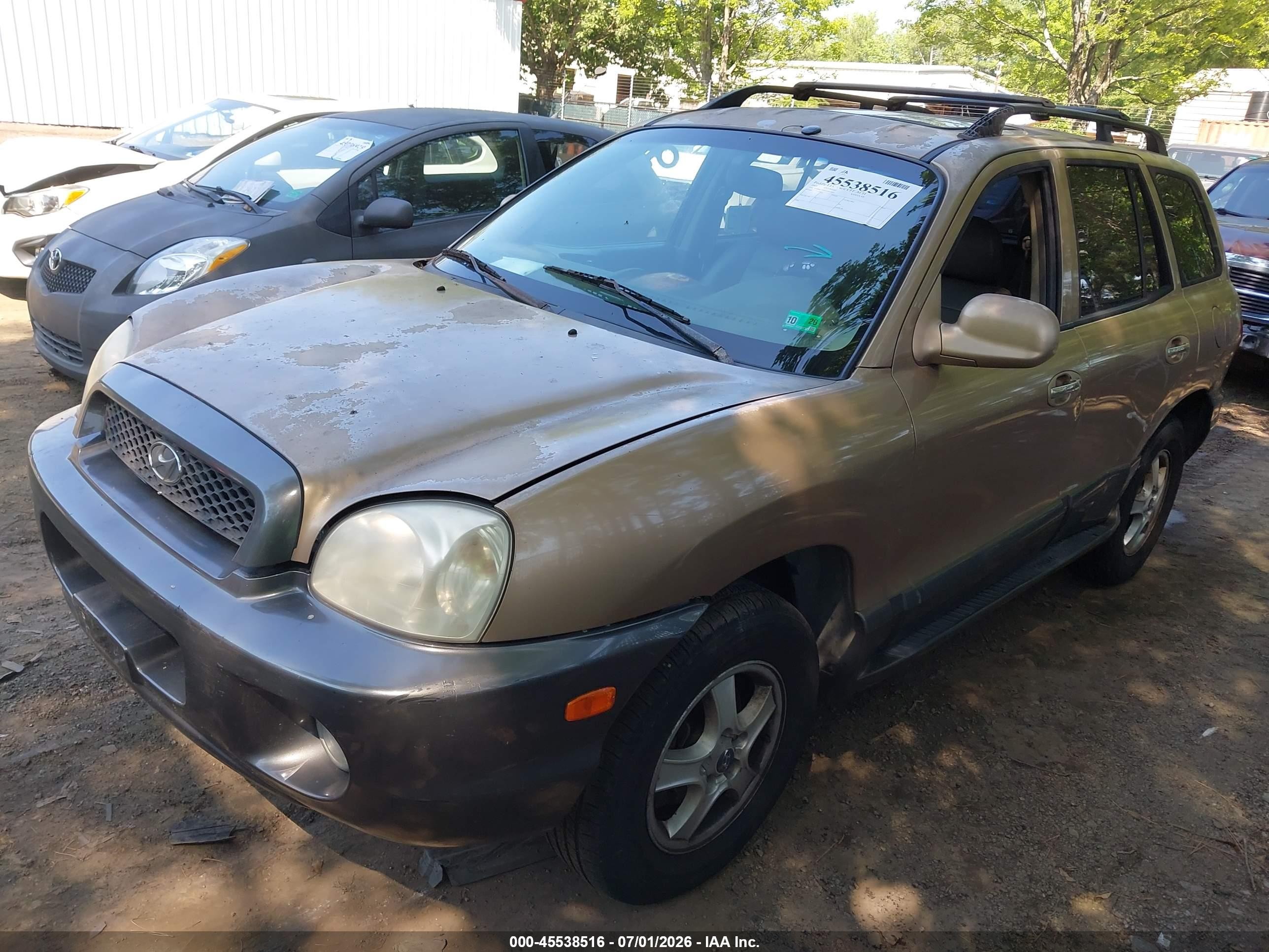 2003 Hyundai Santa Fe Gls/lx Gold vin: KM8SC73D23U411495