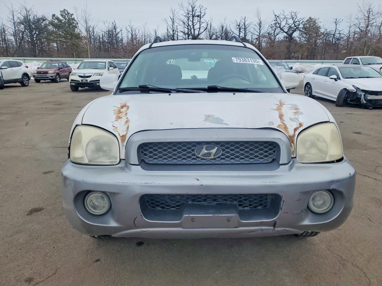 2003 Hyundai Santa Fe Gls White vin: KM8SC73D23U536335