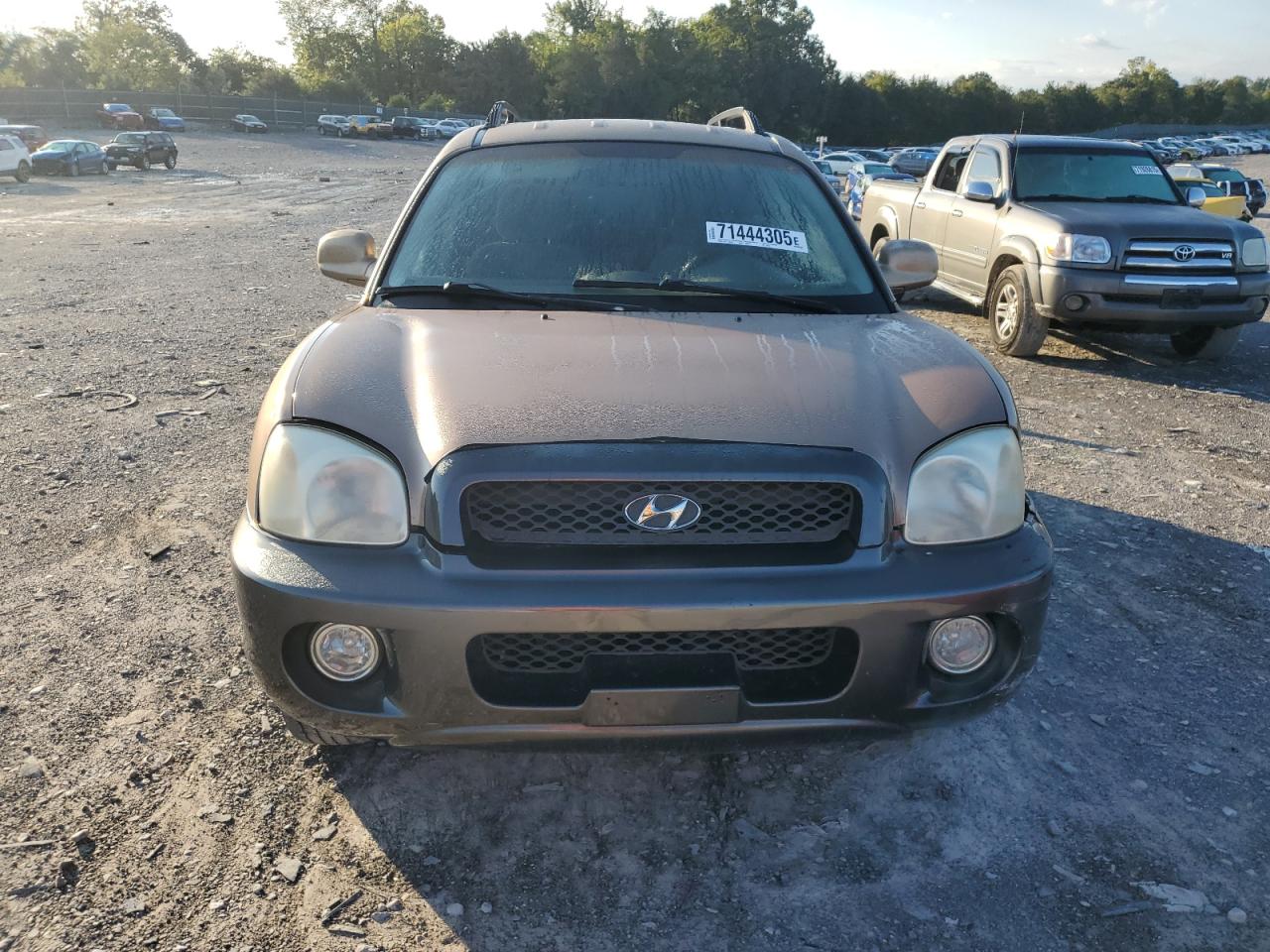 2003 Hyundai Santa Fe Gls Brown vin: KM8SC73D33U350366