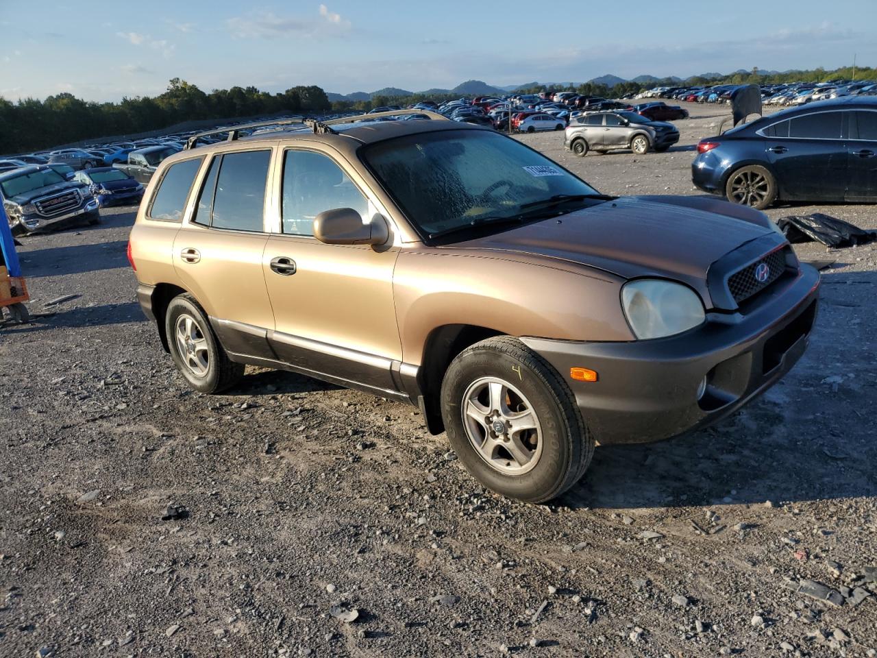 2003 Hyundai Santa Fe Gls Brown vin: KM8SC73D33U350366