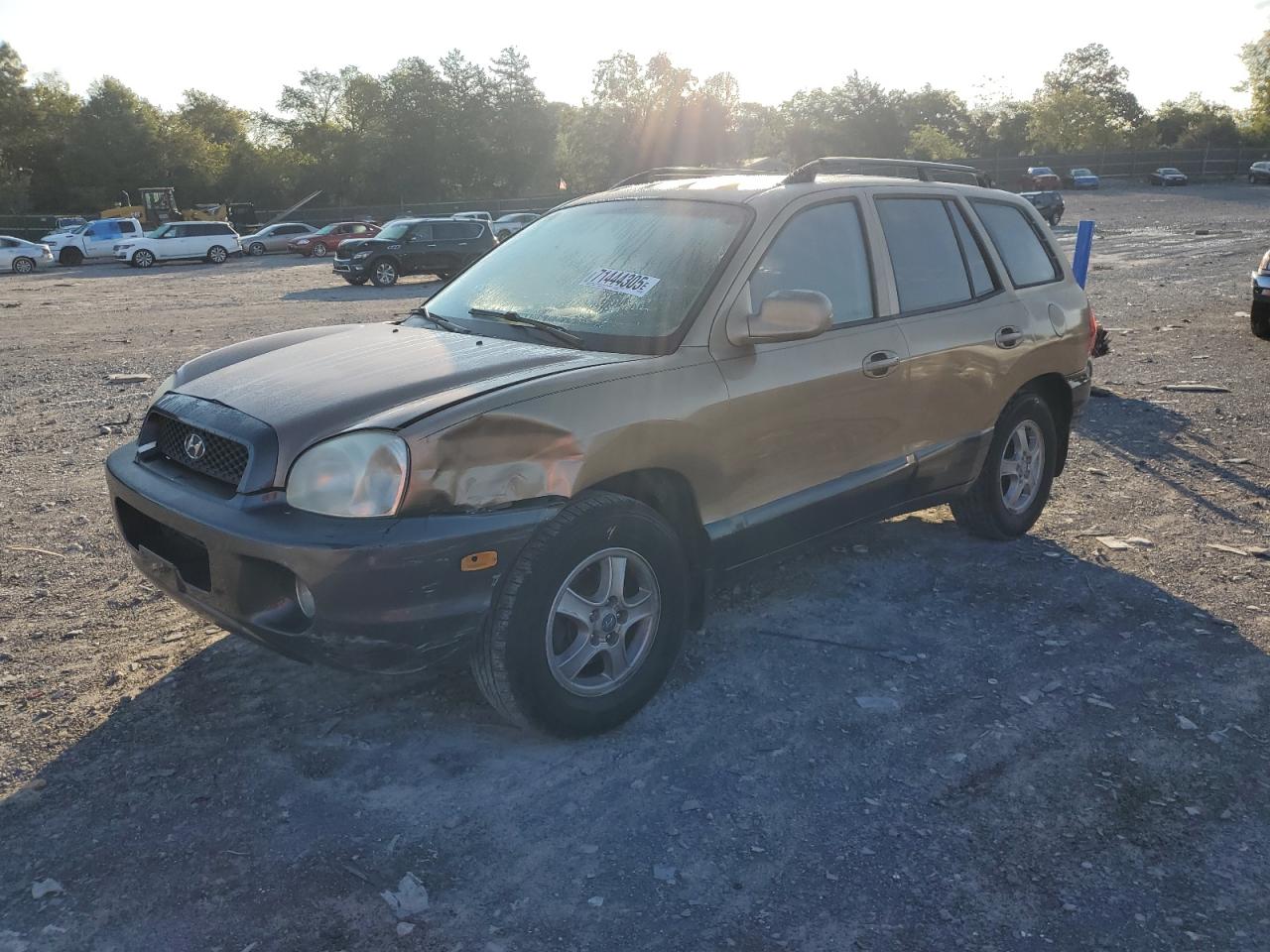 2003 Hyundai Santa Fe Gls Brown vin: KM8SC73D33U350366