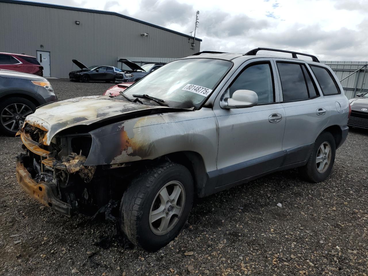 2003 Hyundai Santa Fe Gls Silver vin: KM8SC73D33U486383
