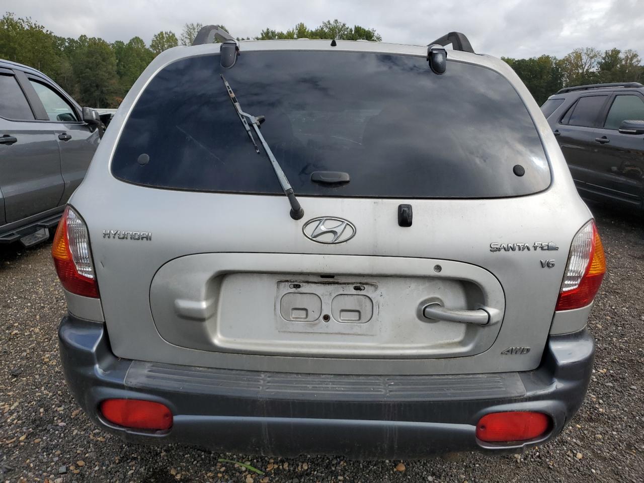 2003 Hyundai Santa Fe Gls Silver vin: KM8SC73D33U486383
