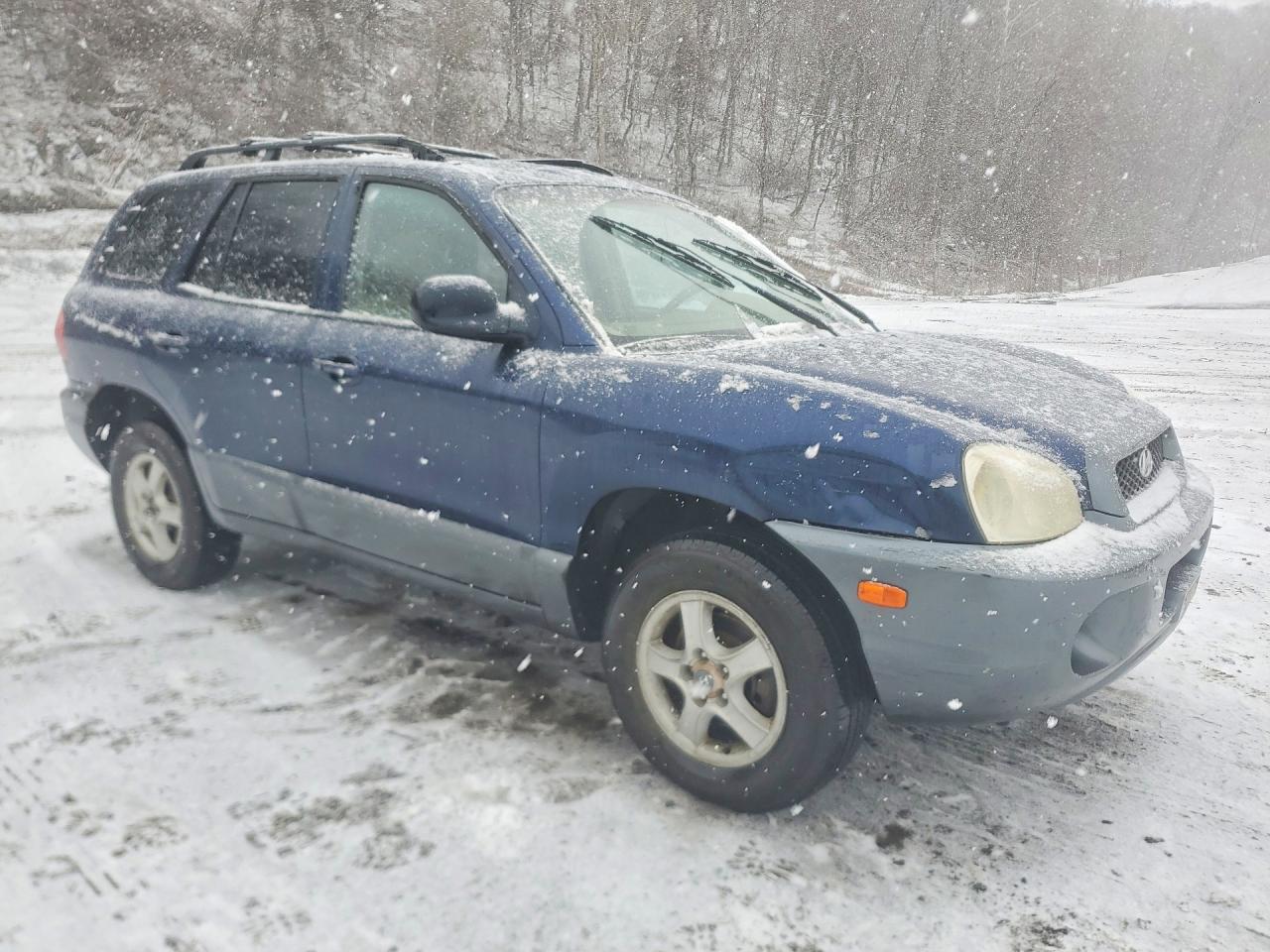 2004 Hyundai Santa Fe Gls Blue vin: KM8SC73D44U697058