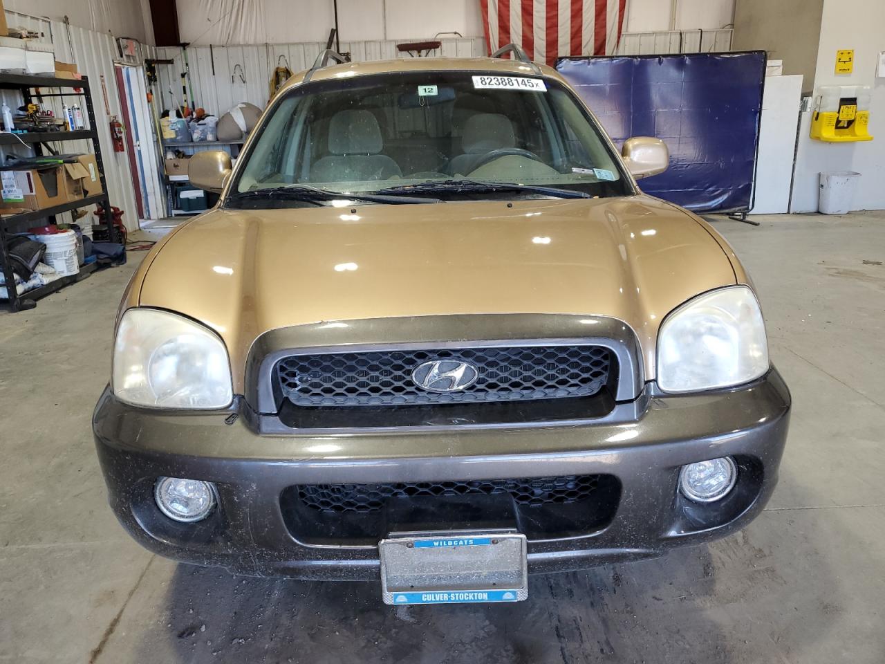 2002 Hyundai Santa Fe Gls Tan vin: KM8SC73D52U290900