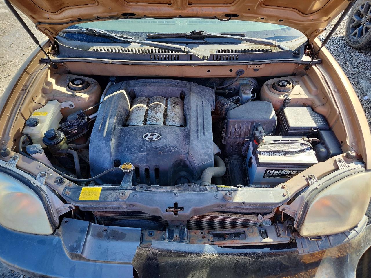 2002 Hyundai Santa Fe Gls Tan vin: KM8SC73D62U336444