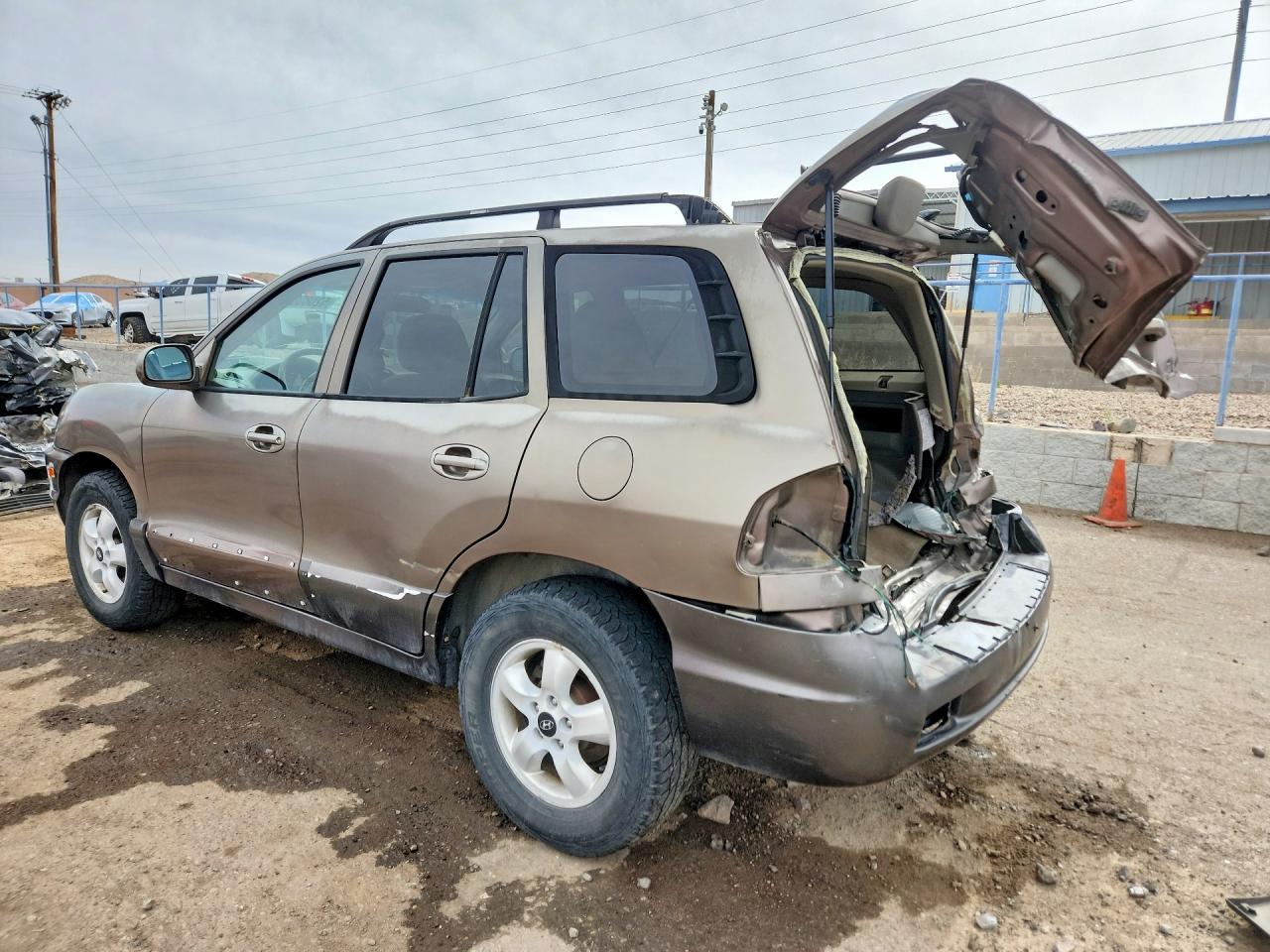 2005 Hyundai Santa Fe Gls Коричневый vin: KM8SC73D65U973452