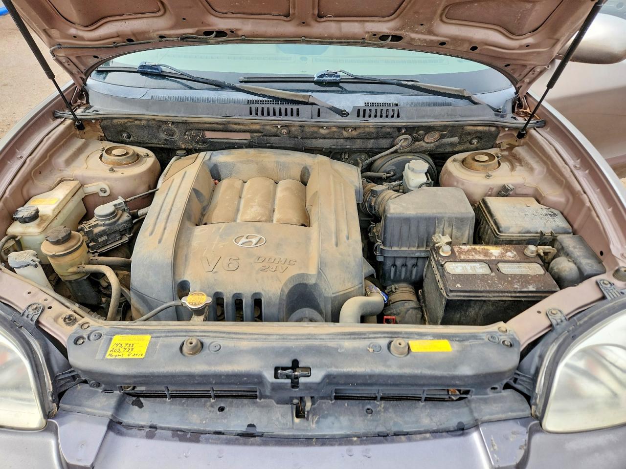 2005 Hyundai Santa Fe Gls Коричневый vin: KM8SC73D65U973452