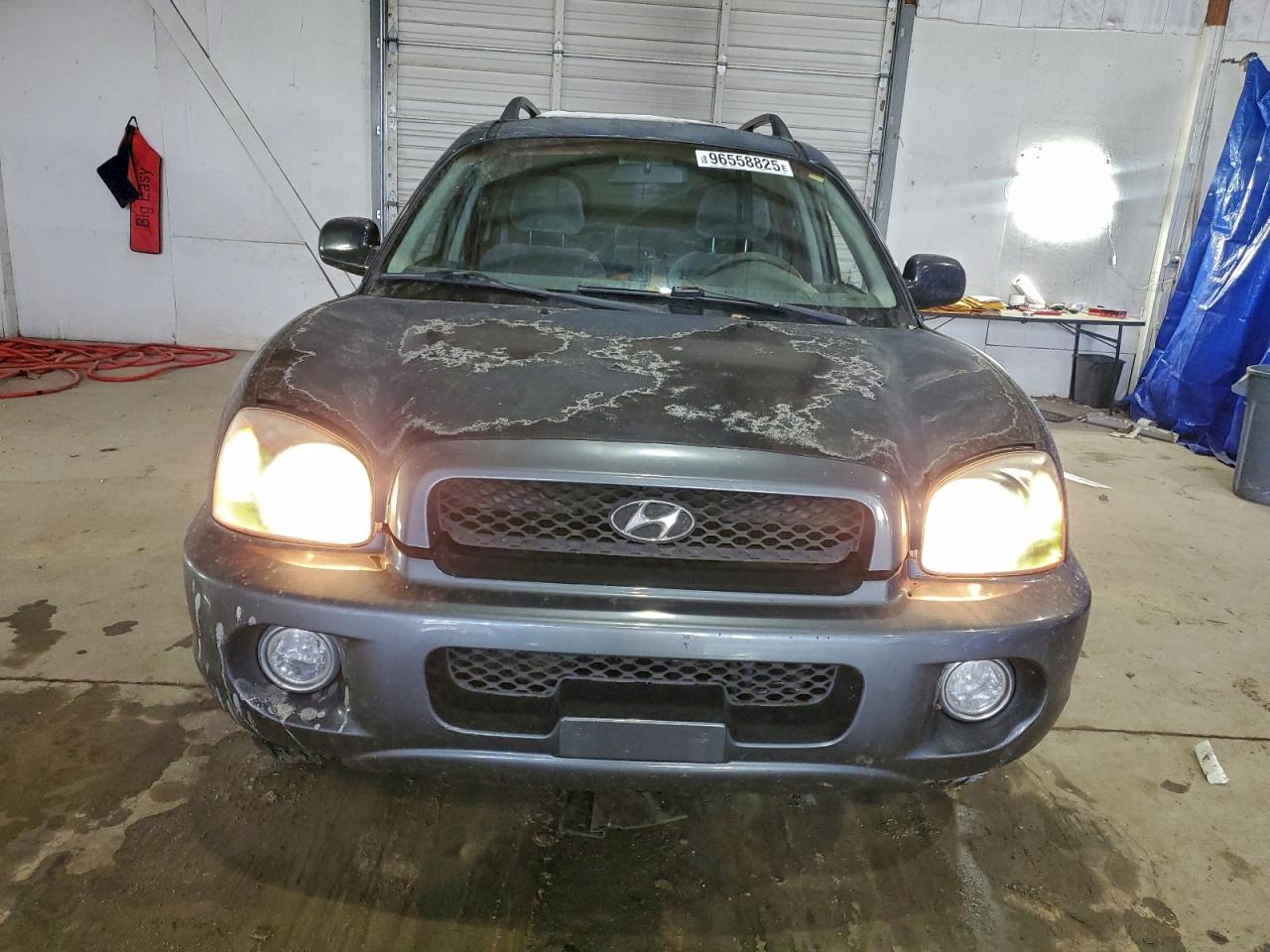 2002 Hyundai Santa Fe Gls Black vin: KM8SC73D72U306336