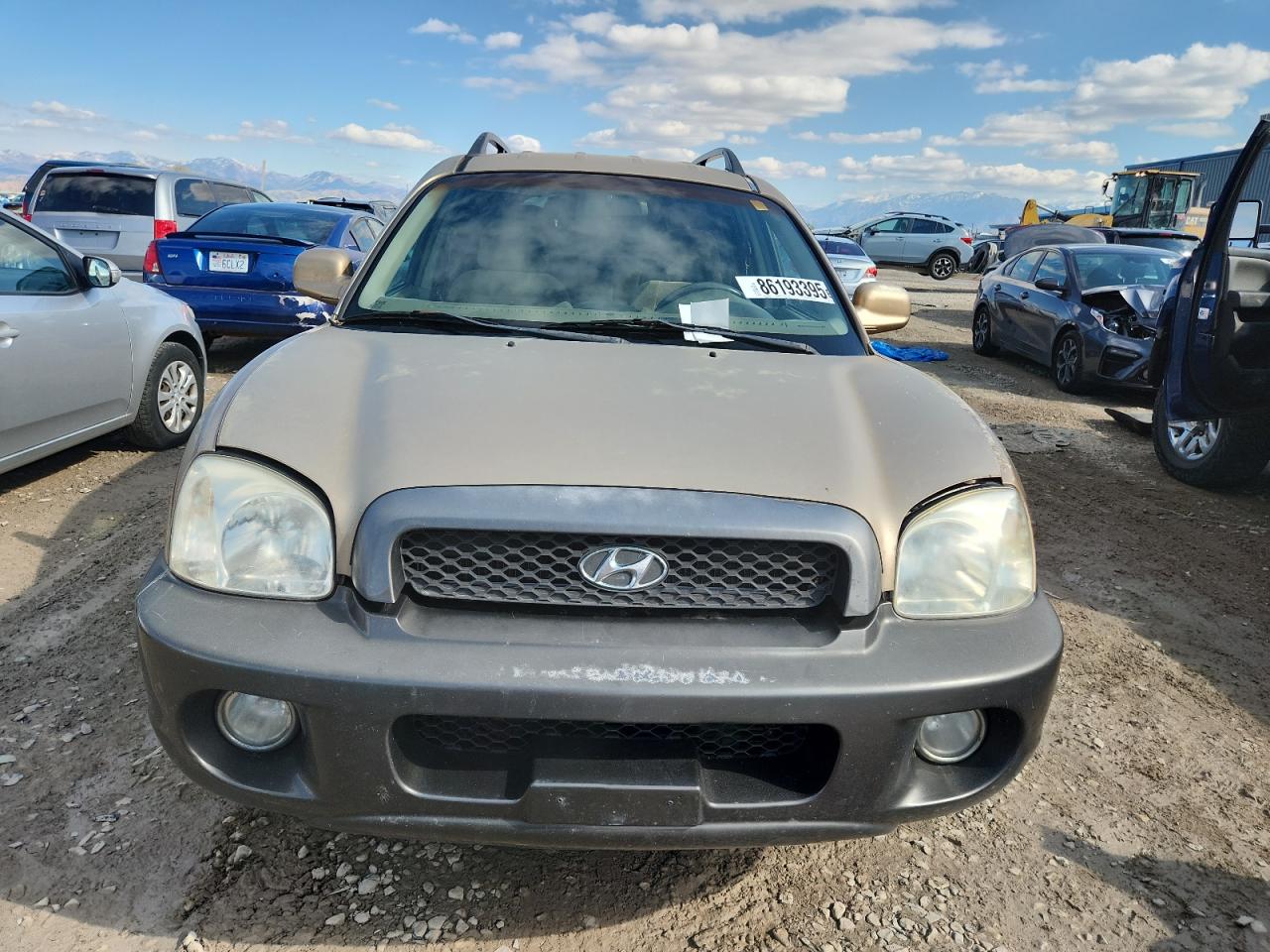 2004 Hyundai Santa Fe Gls Tan vin: KM8SC73D74U639655