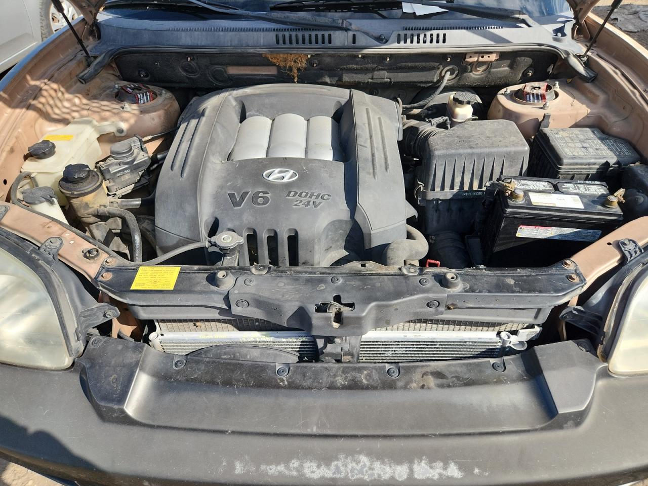 2004 Hyundai Santa Fe Gls Tan vin: KM8SC73D74U639655