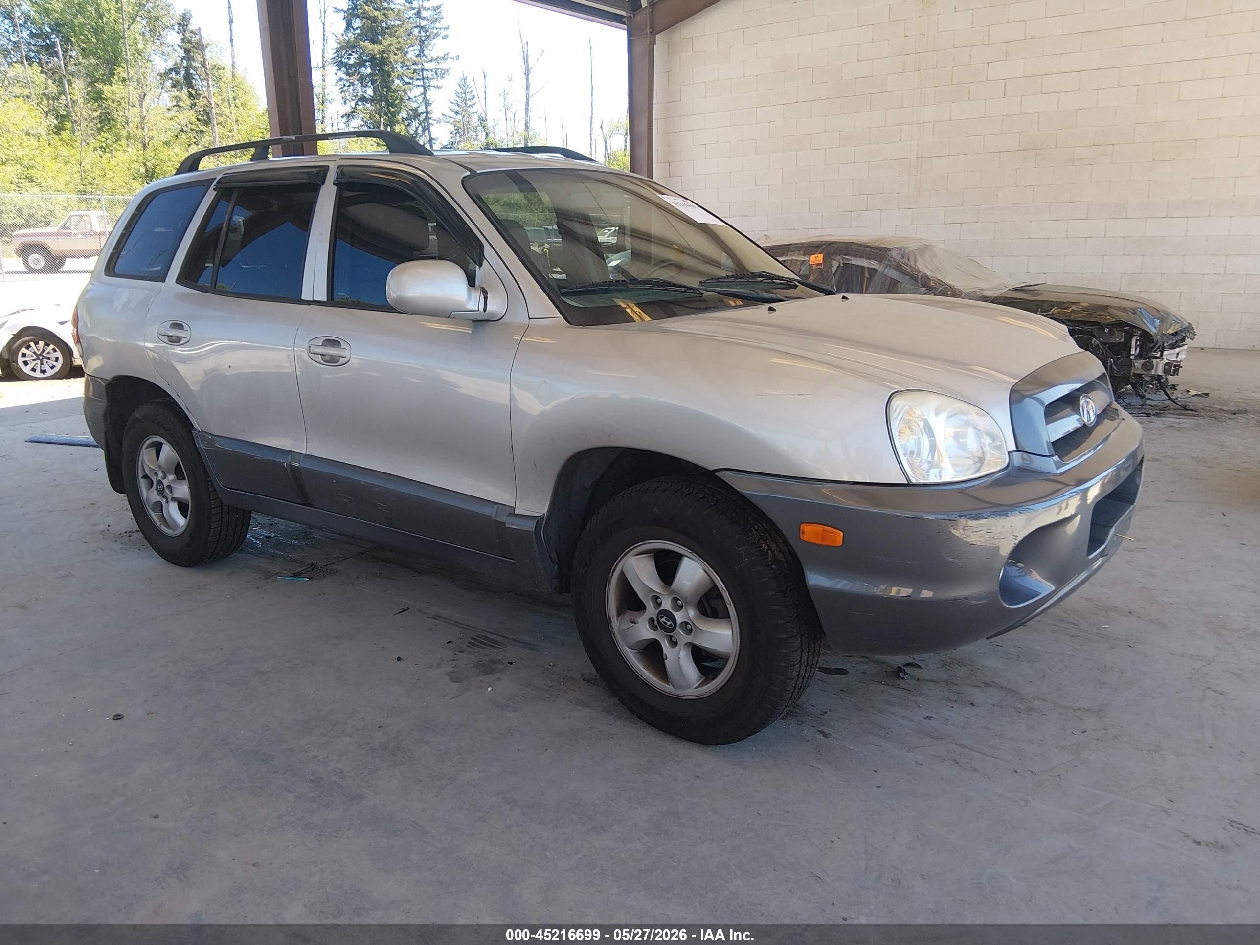 2005 Hyundai Santa Fe Gls Silver vin: KM8SC73D75U960144