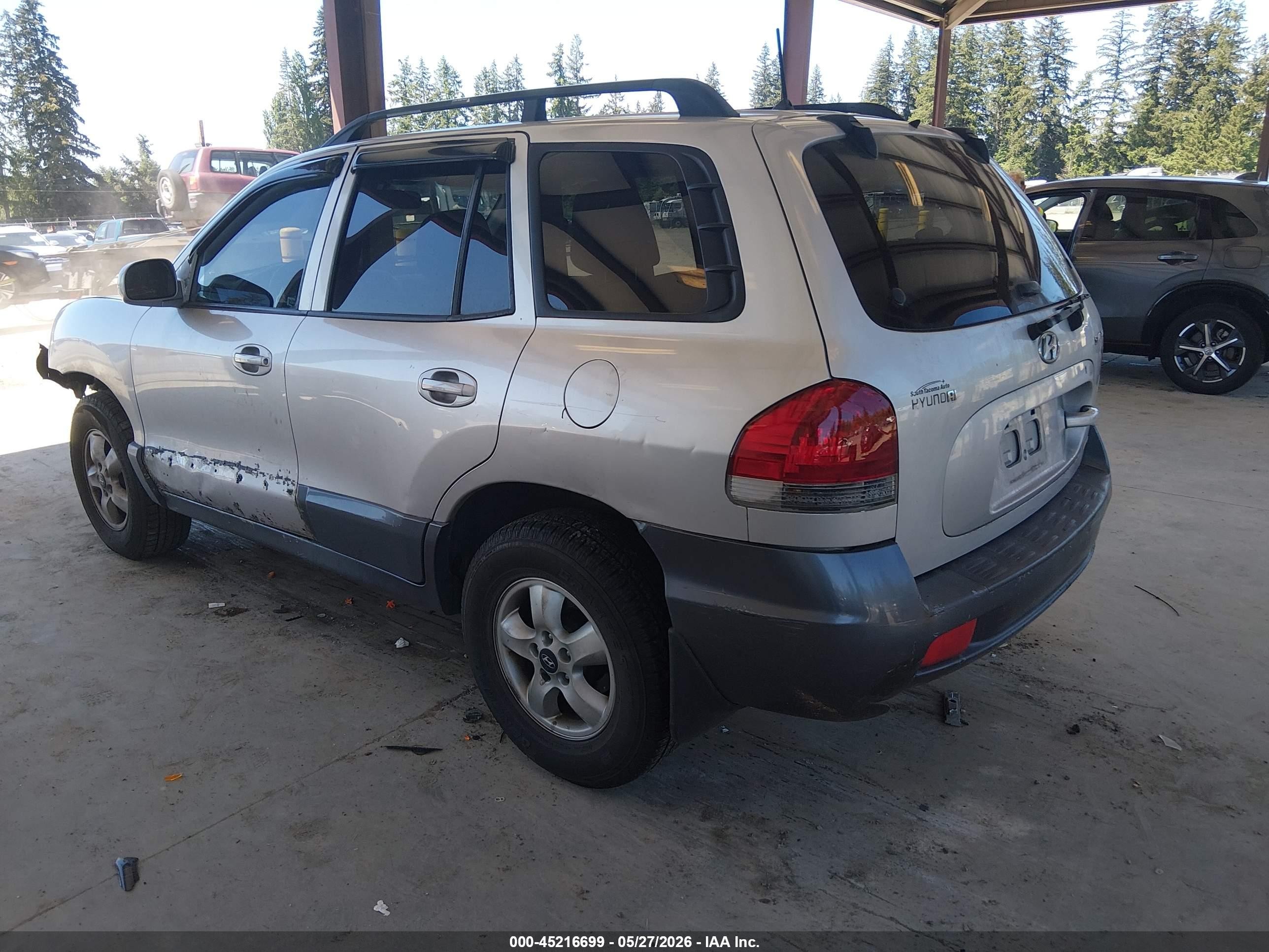 2005 Hyundai Santa Fe Gls Silver vin: KM8SC73D75U960144