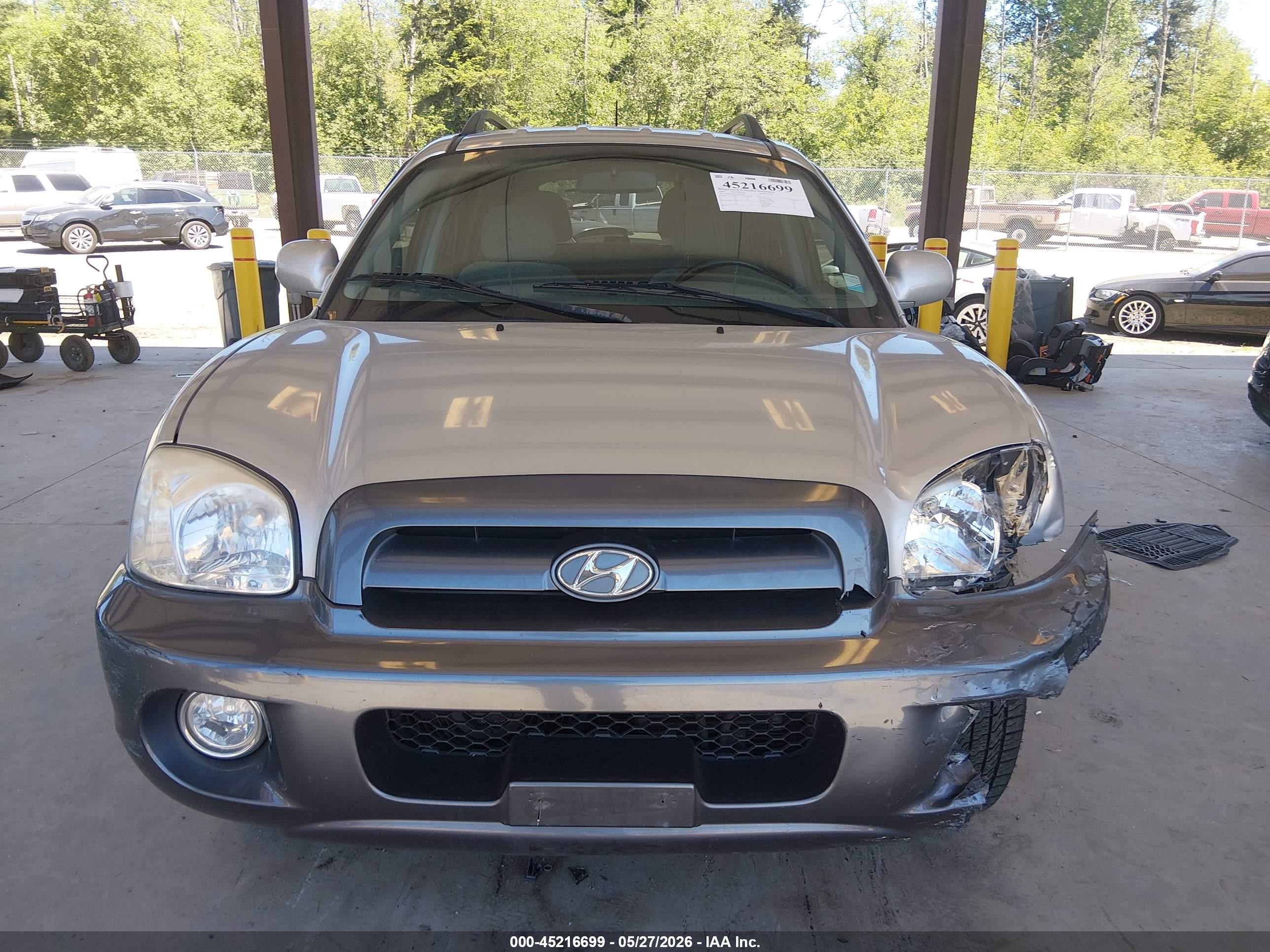 2005 Hyundai Santa Fe Gls Silver vin: KM8SC73D75U960144