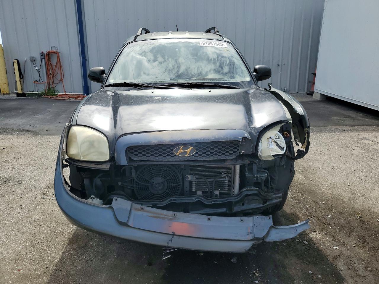 2006 Hyundai Santa Fe Gls Green vin: KM8SC73D76U111102