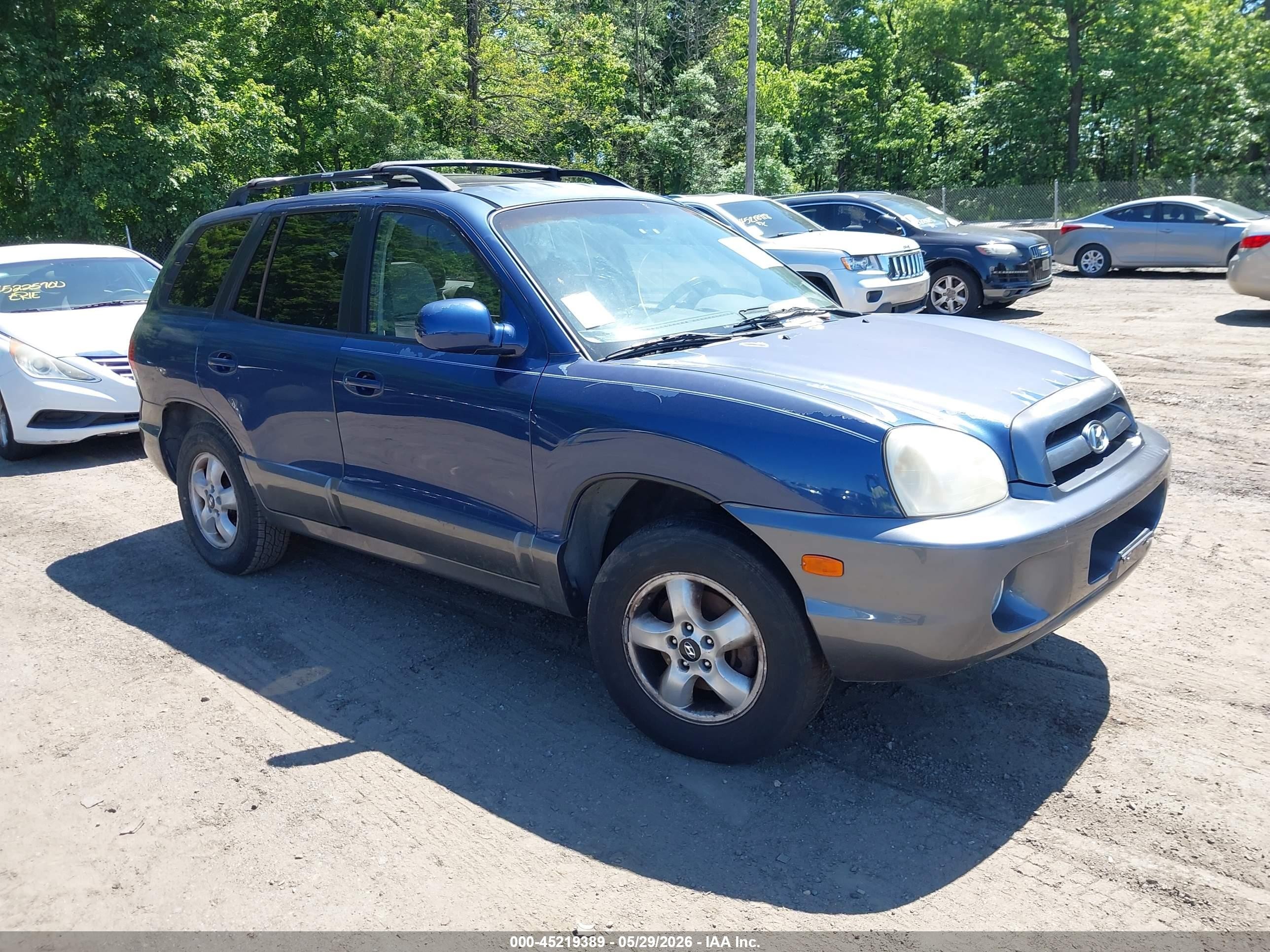2006 Hyundai Santa Fe Gls Синий vin: KM8SC73D96U103857