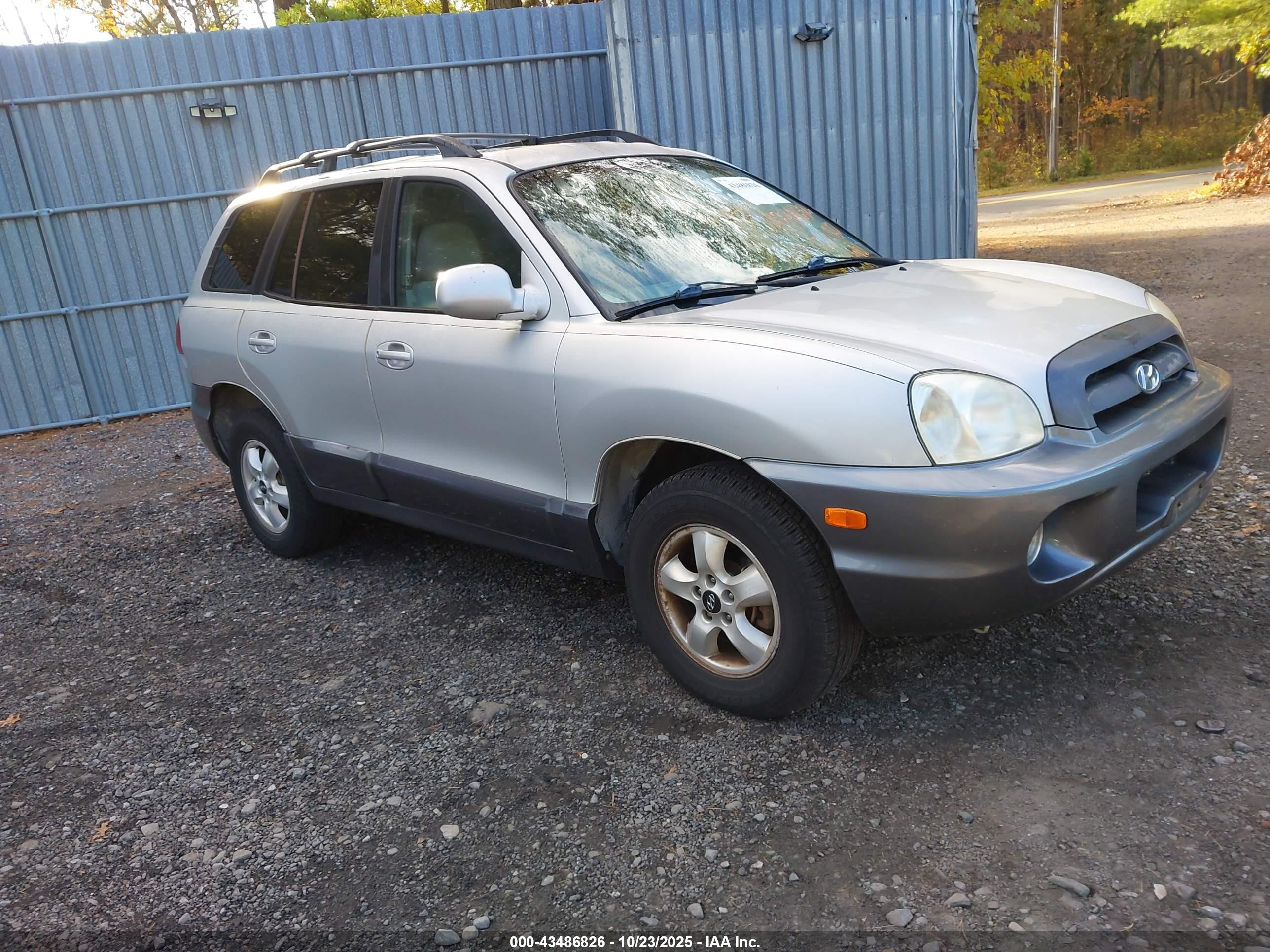 2006 Hyundai Santa Fe Gls Silver vin: KM8SC73D96U105768