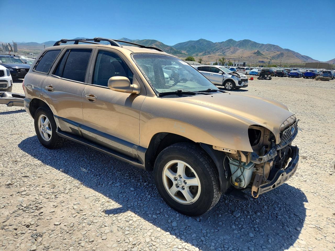 2004 Hyundai Santa Fe Gls Золотой vin: KM8SC73DX4U728314