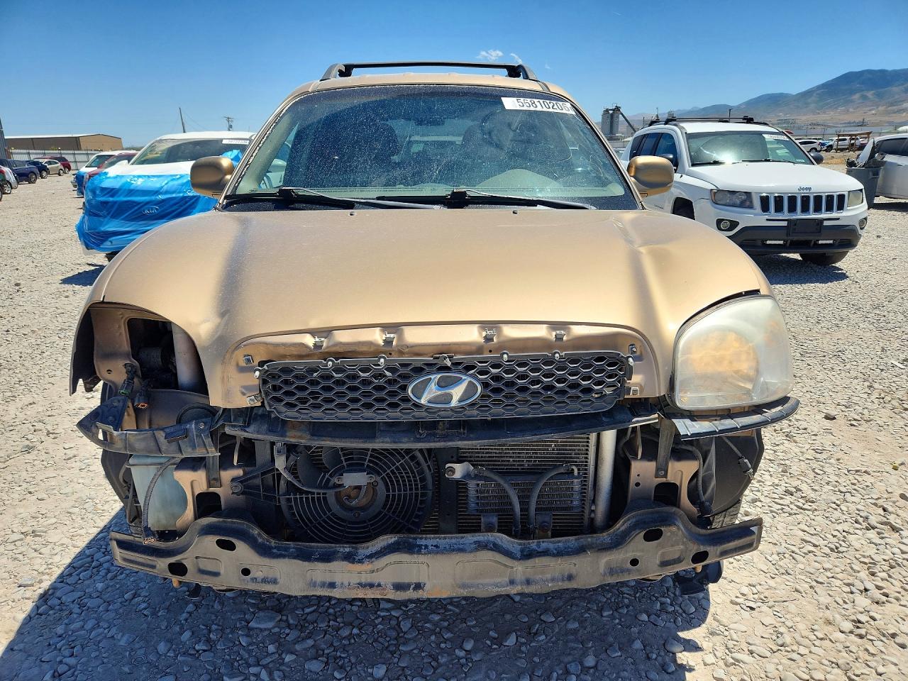 2004 Hyundai Santa Fe Gls Золотой vin: KM8SC73DX4U728314