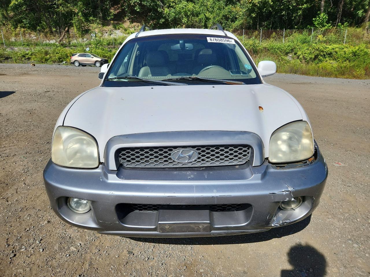 2004 Hyundai Santa Fe Gls White vin: KM8SC73E04U590291