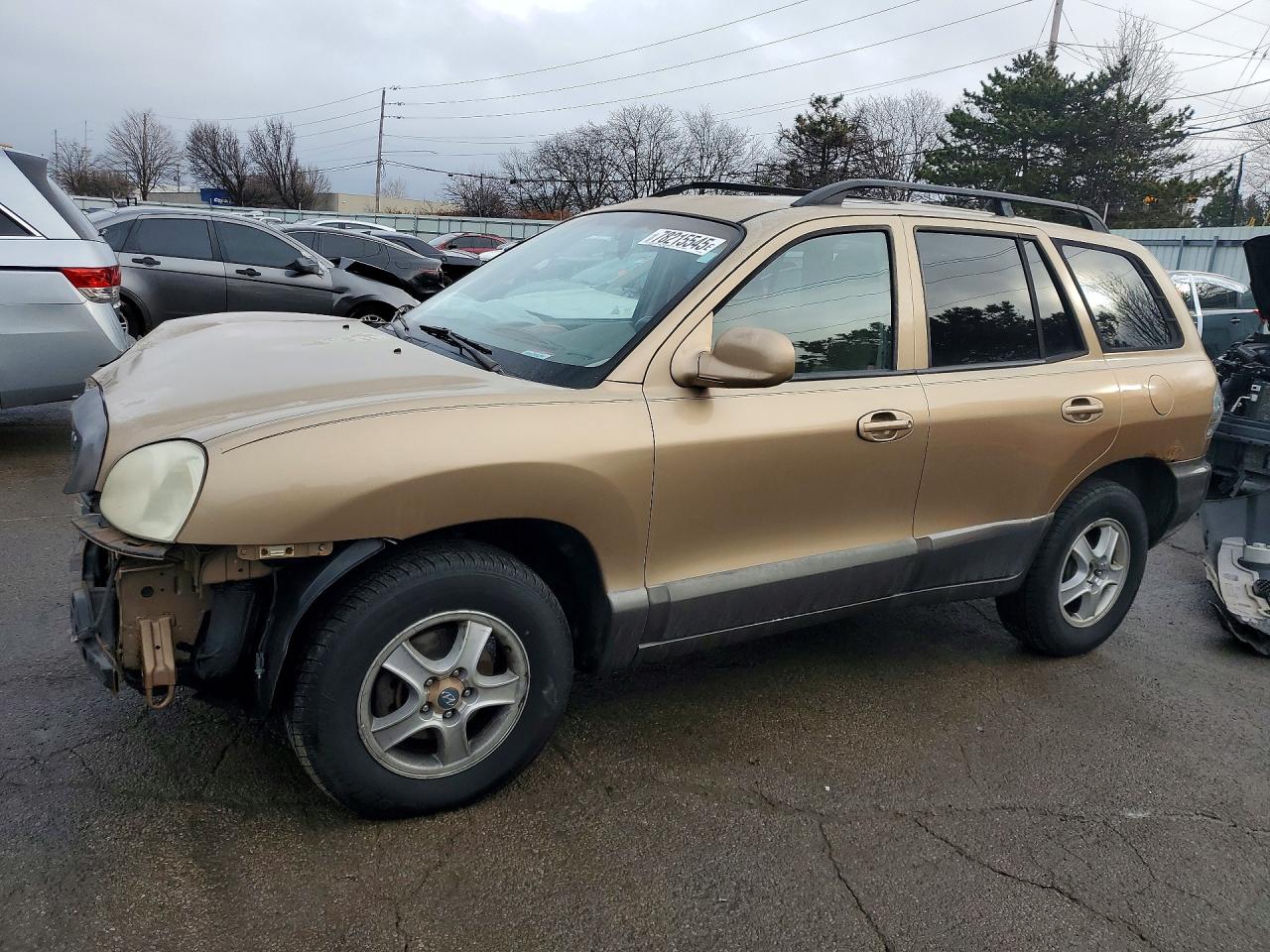 2004 Hyundai Santa Fe Gls Коричневый vin: KM8SC73E04U730646