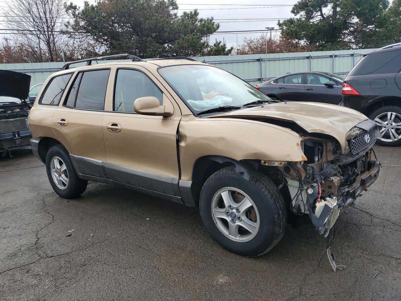 2004 Hyundai Santa Fe Gls Коричневый vin: KM8SC73E04U730646