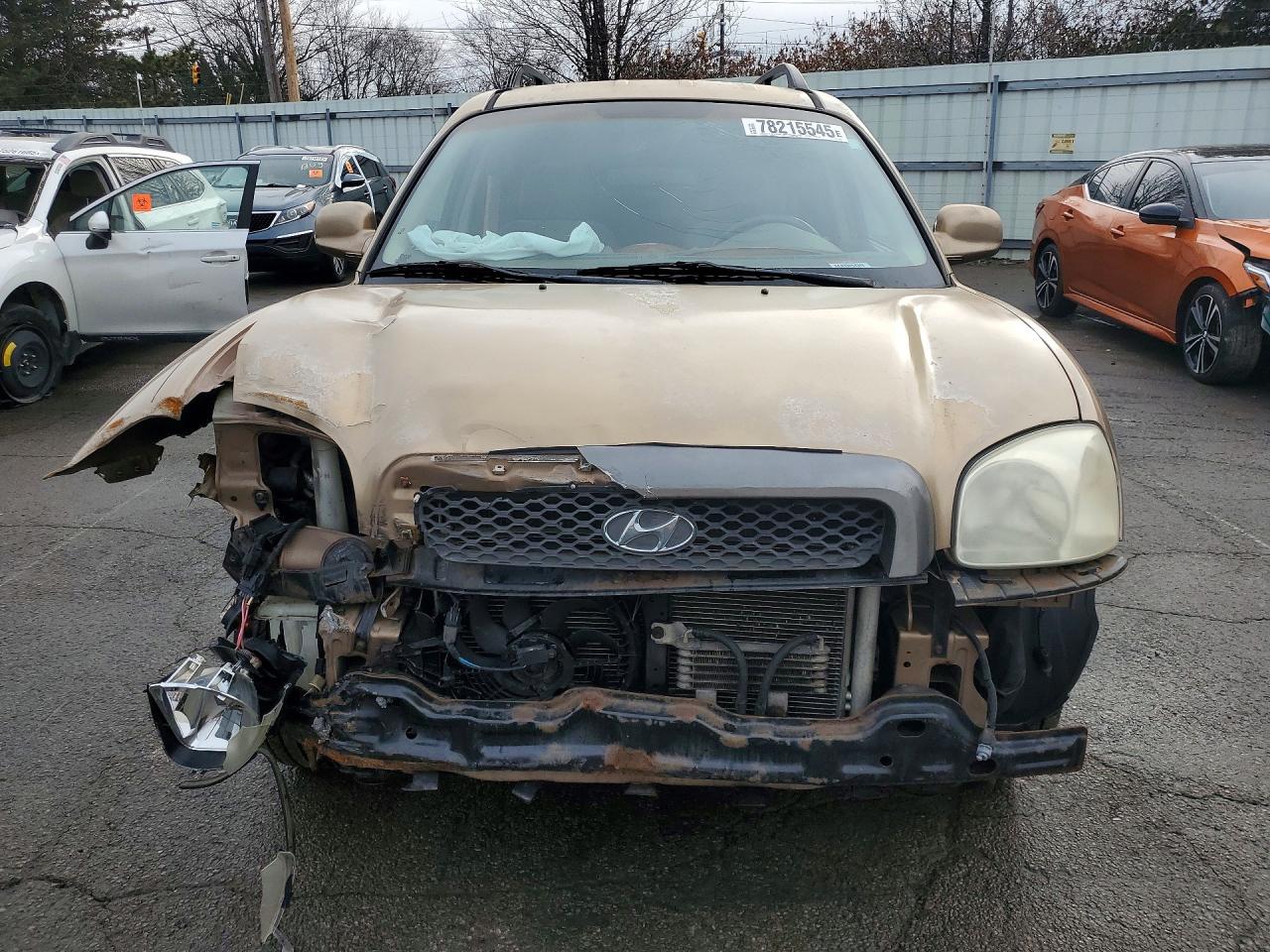 2004 Hyundai Santa Fe Gls Коричневый vin: KM8SC73E04U730646