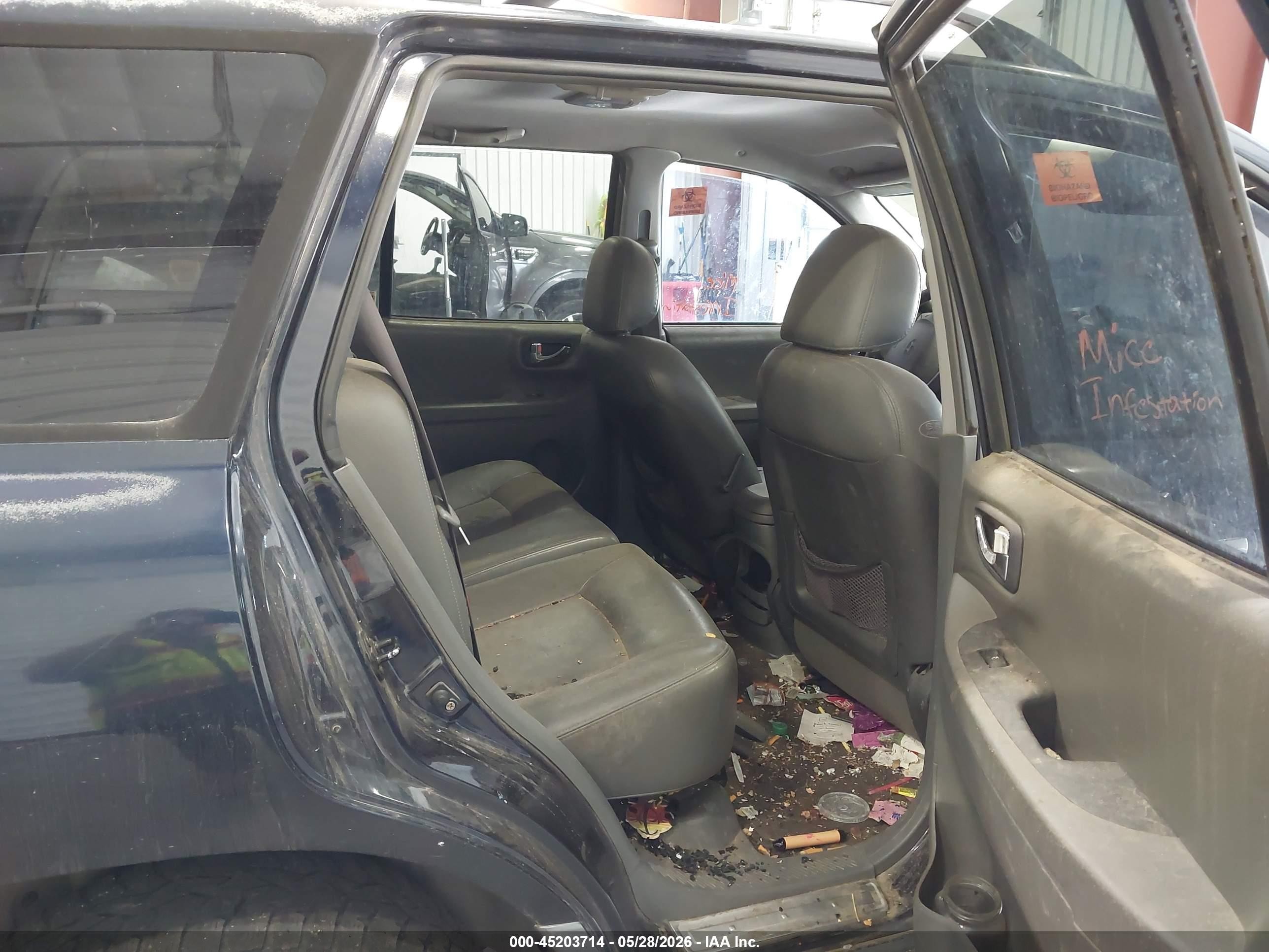 2004 Hyundai Santa Fe Gls/lx Blue vin: KM8SC73E14U836619