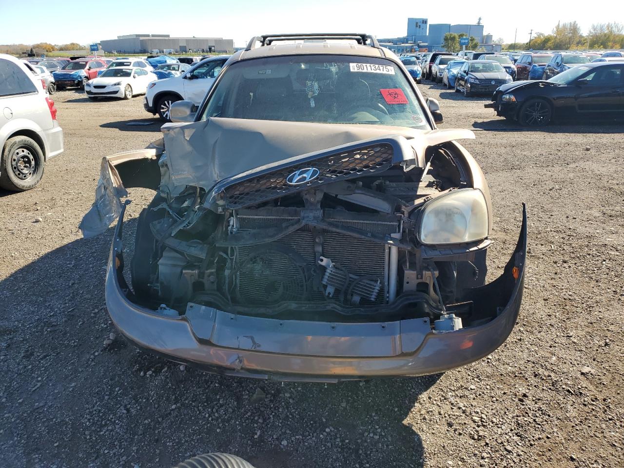 2004 Hyundai Santa Fe Gls Tan vin: KM8SC73E34U613837