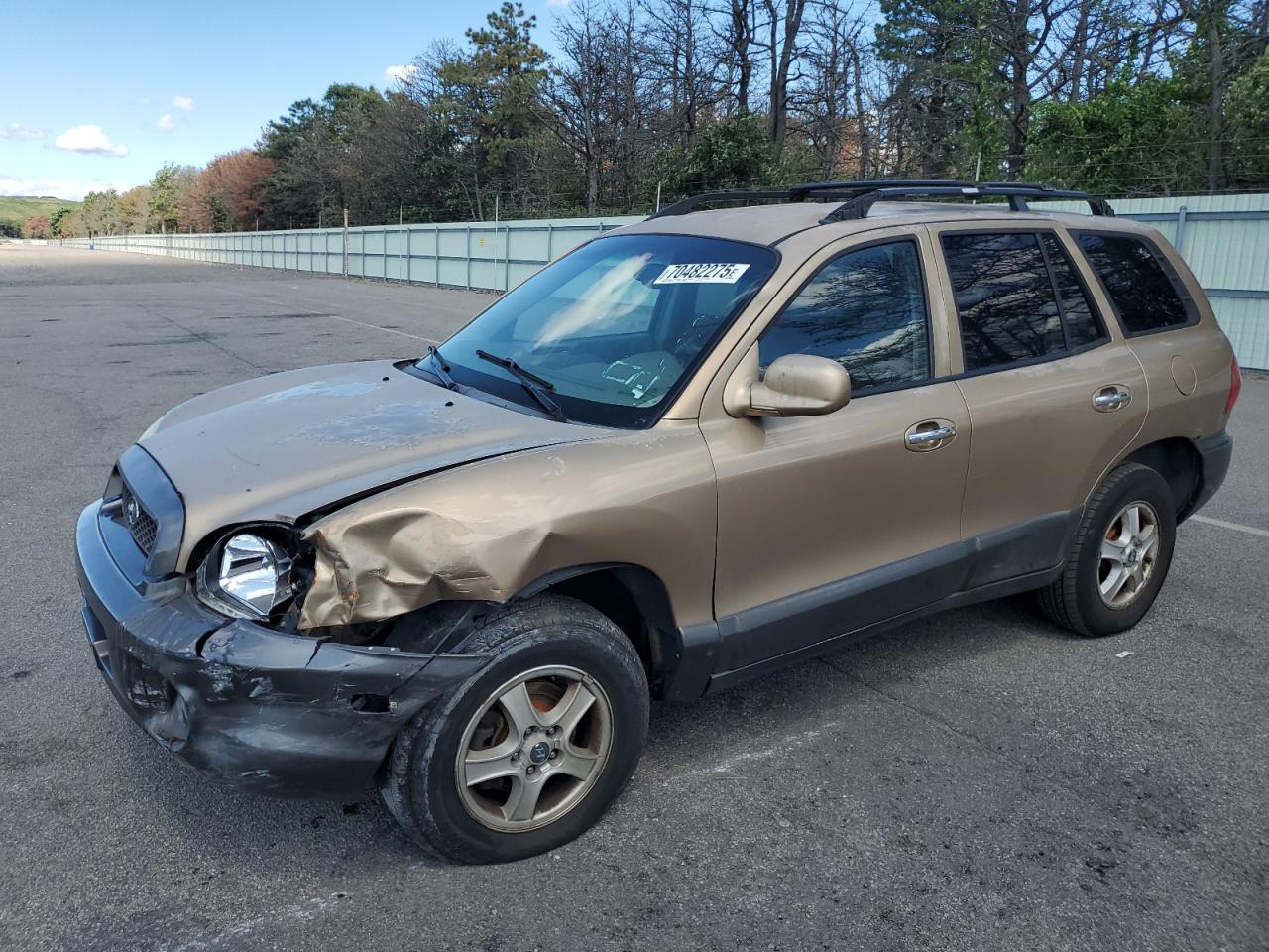 2004 Hyundai Santa Fe Gls Желто-коричневый vin: KM8SC73E44U614043