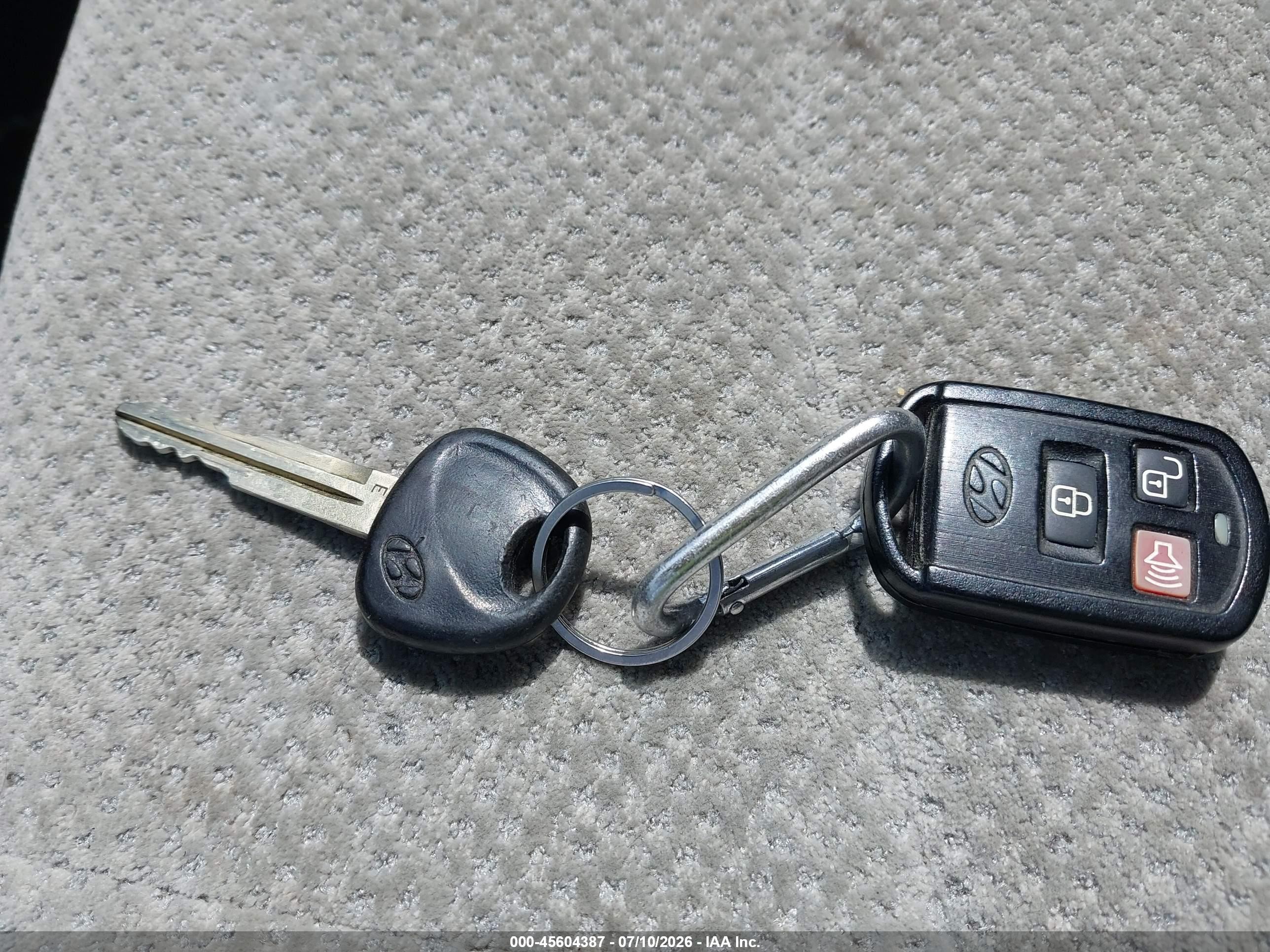 2006 Hyundai Santa Fe Gls/limited Silver vin: KM8SC73E66U079302