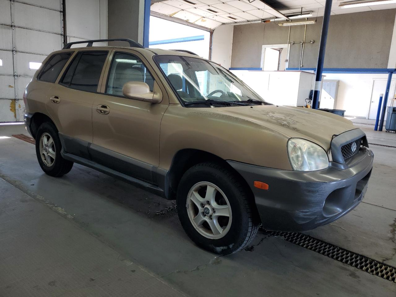 2003 Hyundai Santa Fe Gls Tan vin: KM8SC73E73U536341