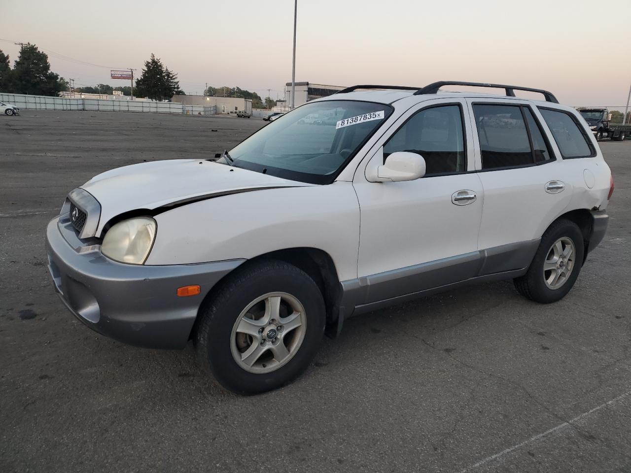 2004 Hyundai Santa Fe Gls White vin: KM8SC73EX4U649458