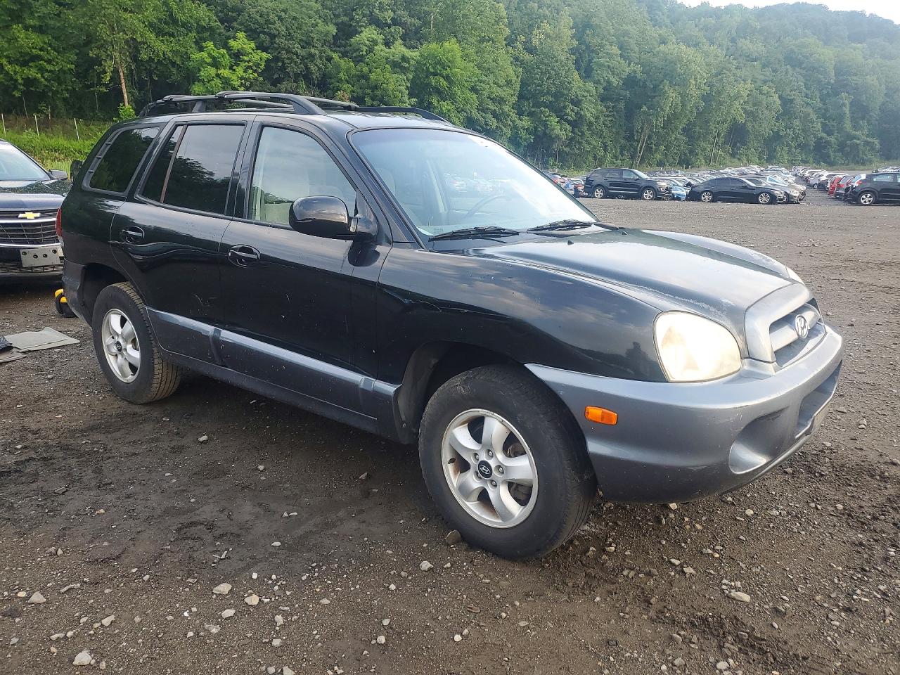 2005 Hyundai Santa Fe Gls Black vin: KM8SC73EX5U865134