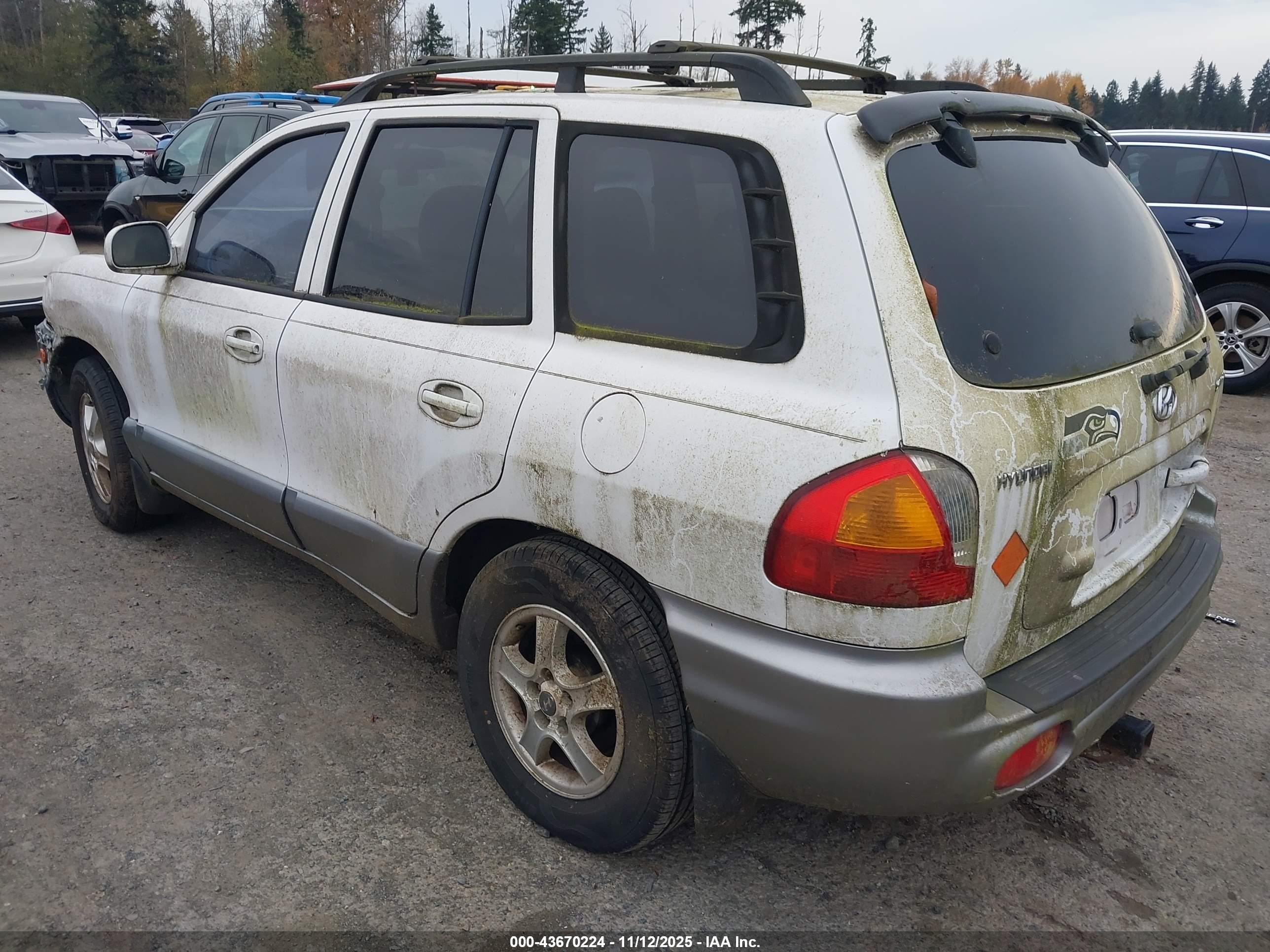 2001 Hyundai Santa Fe 2.7l V6 Gls/2.7l V6 Lx White vin: KM8SC83D11U008062