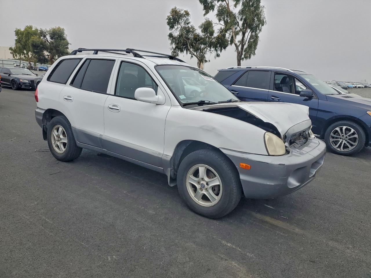 2001 Hyundai Santa Fe Gls White vin: KM8SC83D51U109038