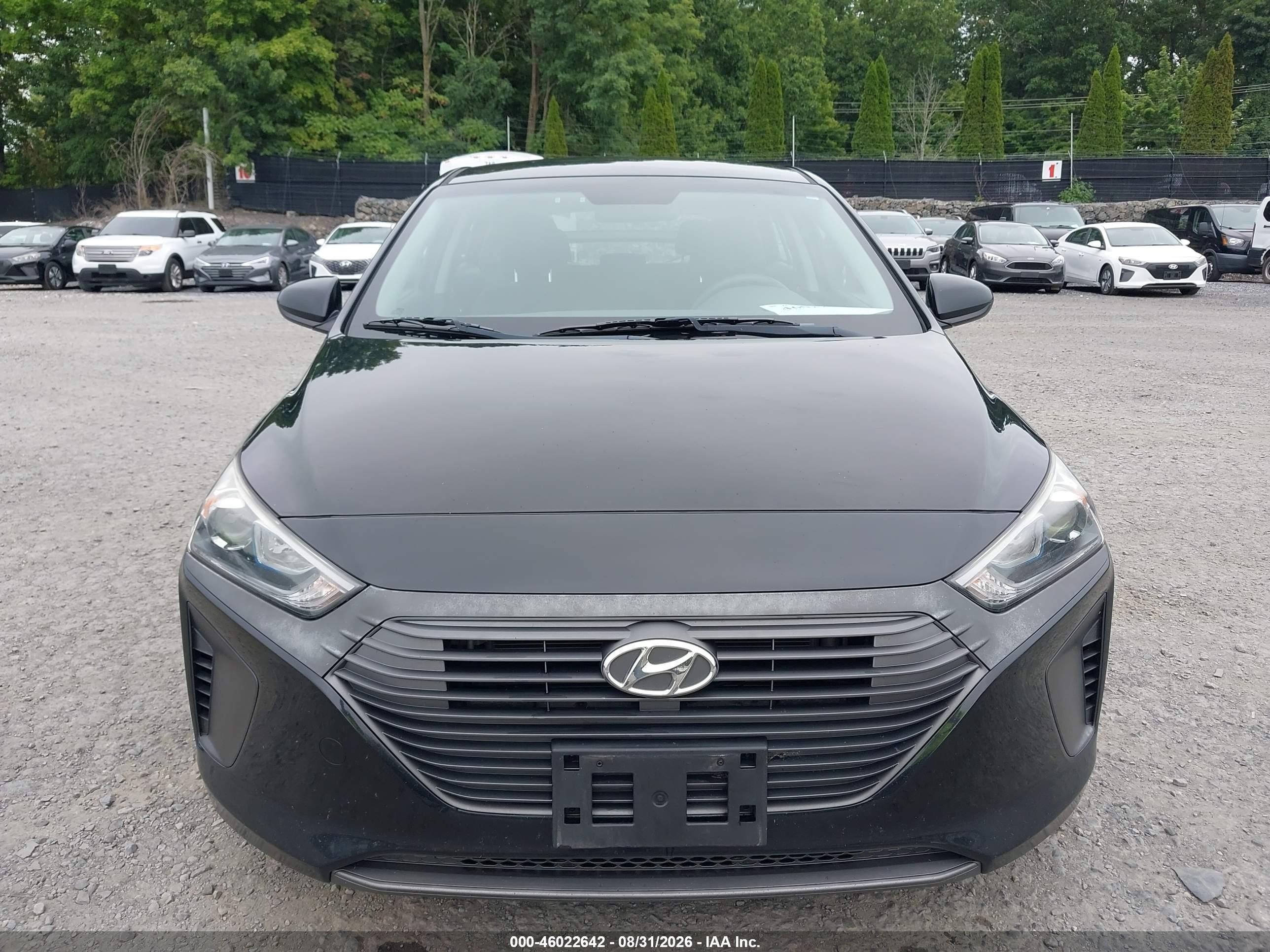 2019 Hyundai Ioniq Hybrid Blue Black vin: KMHC65LC0KU156576