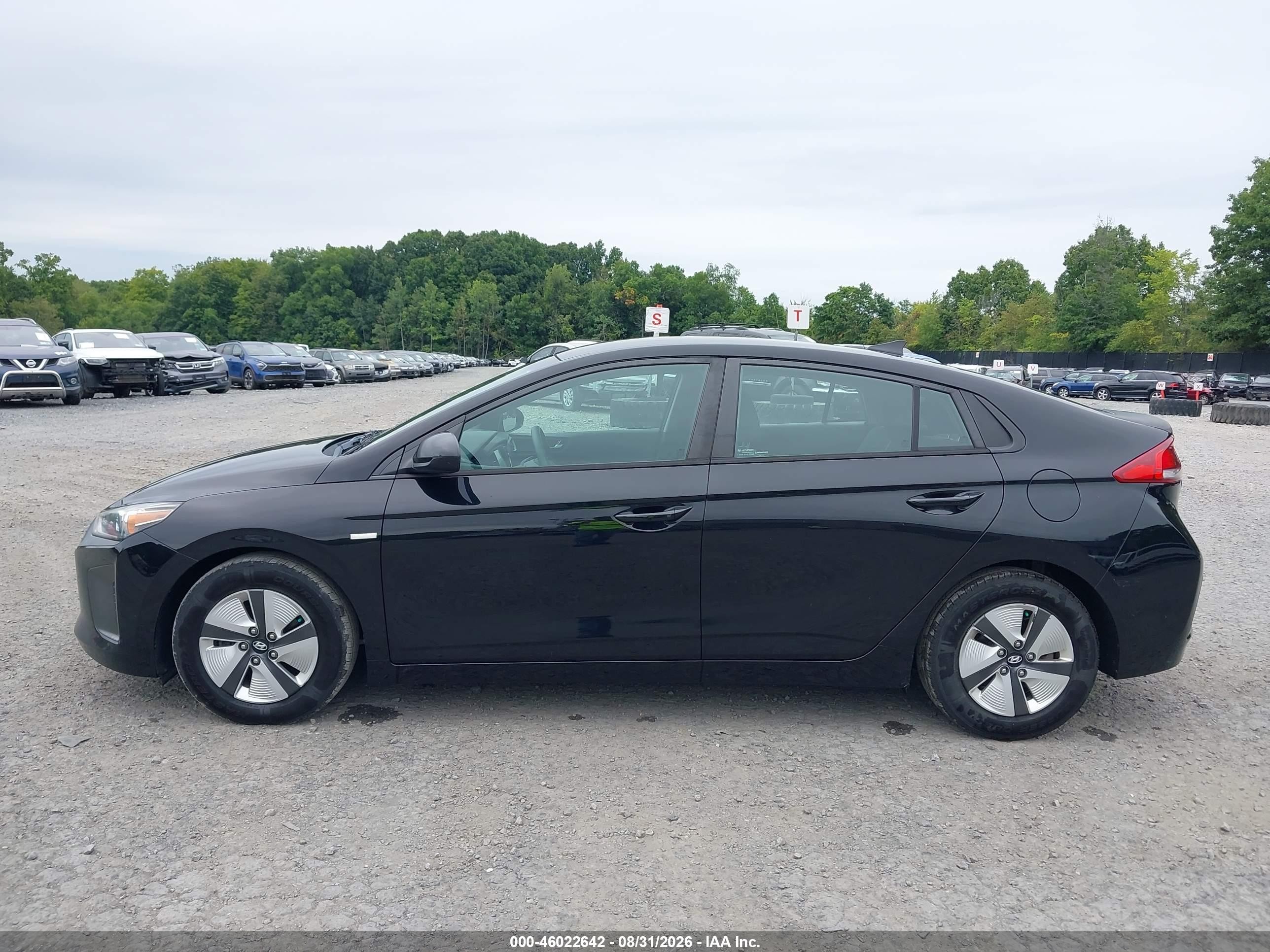 2019 Hyundai Ioniq Hybrid Blue Black vin: KMHC65LC0KU156576