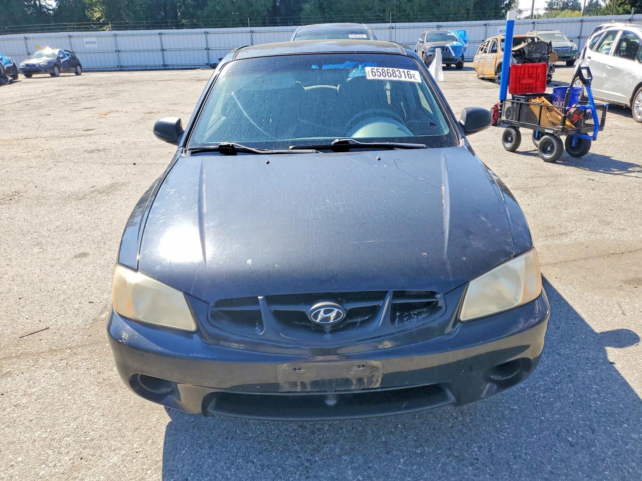 2001 Hyundai Accent Gs Black vin: KMHCG35C91U084600