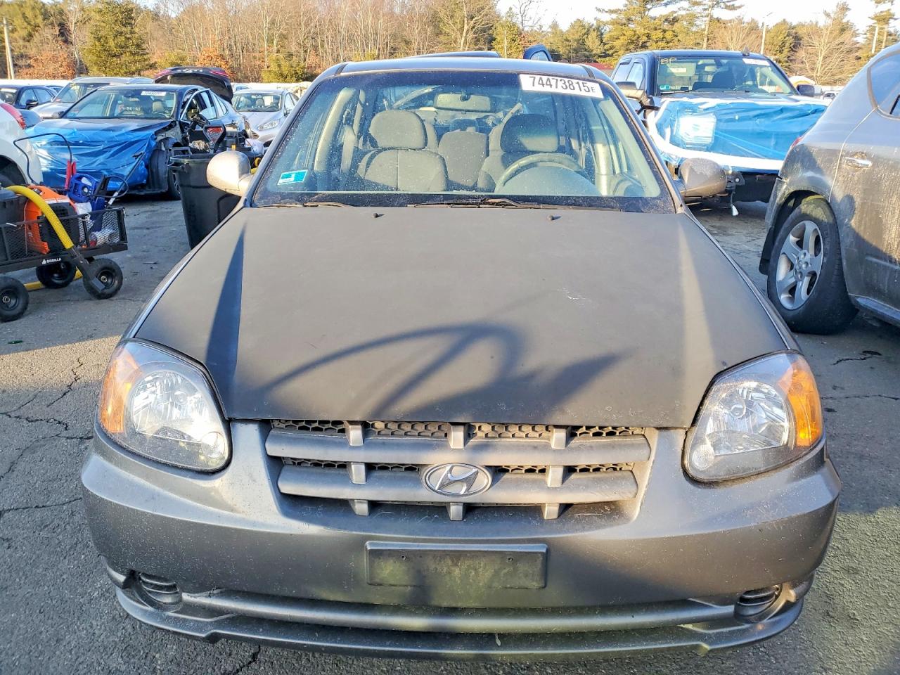 2004 Hyundai Accent Gl Серый vin: KMHCG45C14U513691