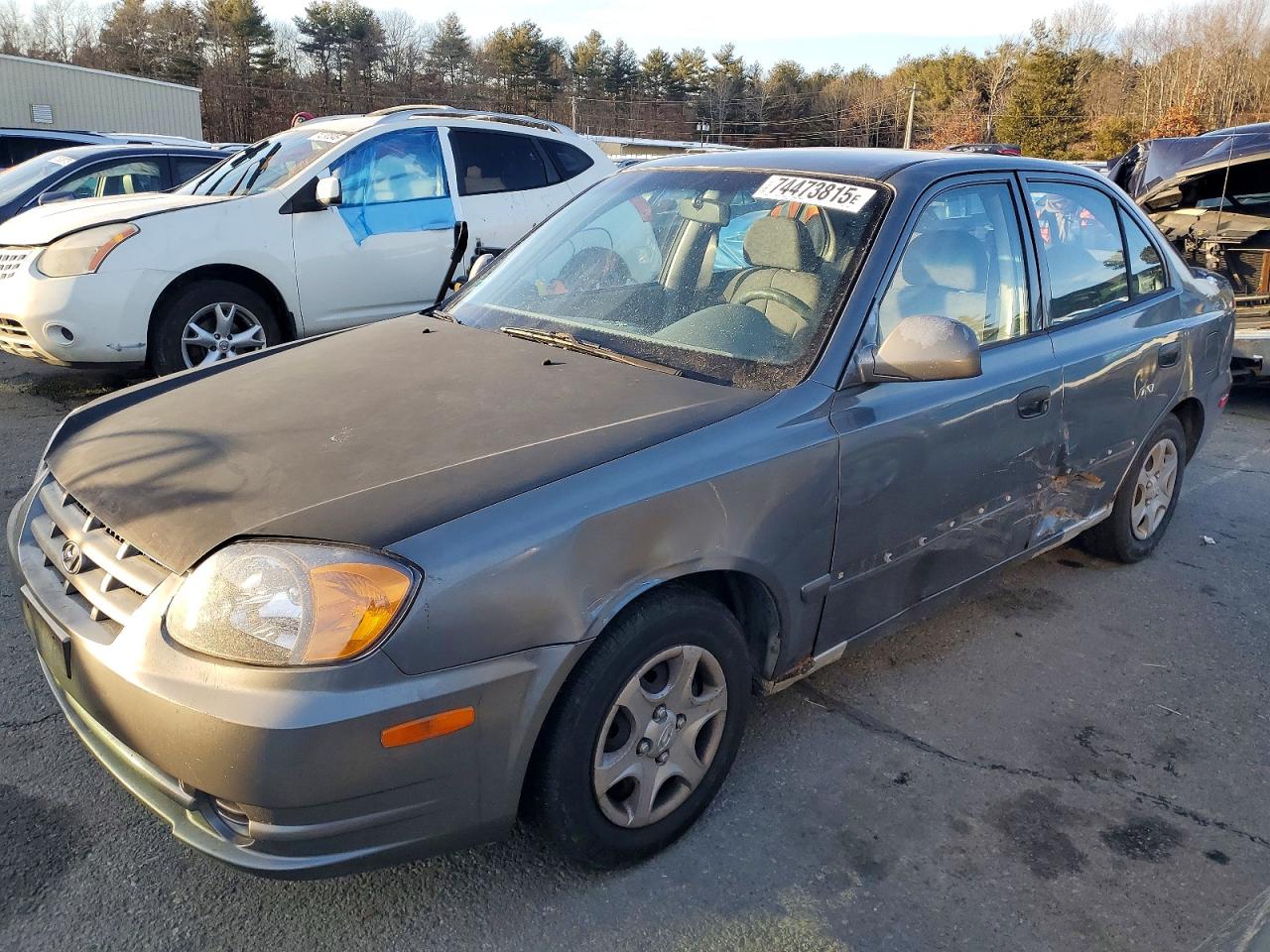 2004 Hyundai Accent Gl Серый vin: KMHCG45C14U513691
