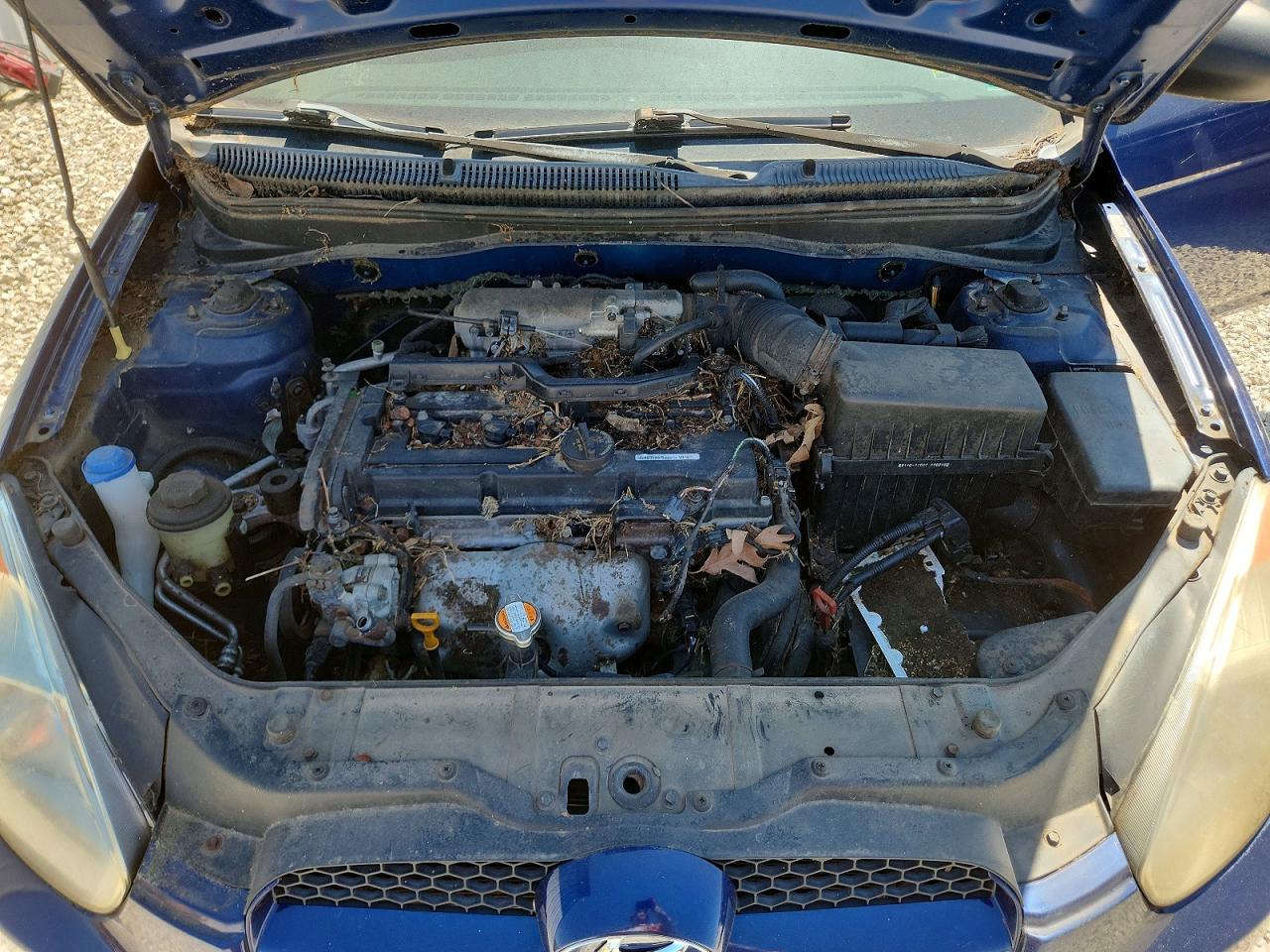 2009 Hyundai Accent Gs Blue vin: KMHCM36C89U140383