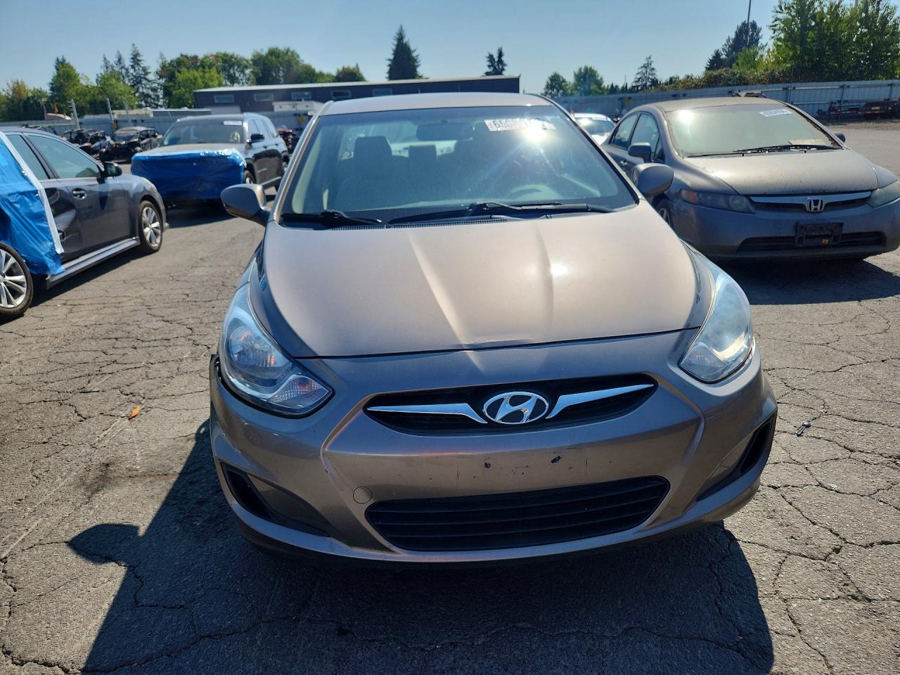 2012 Hyundai Accent Желто-коричневый vin: KMHCT4AEXCU209146